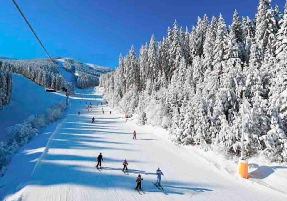 Bansko Vacations - Boutique lux design apartment Bansko Royal Towers - Property Image 31