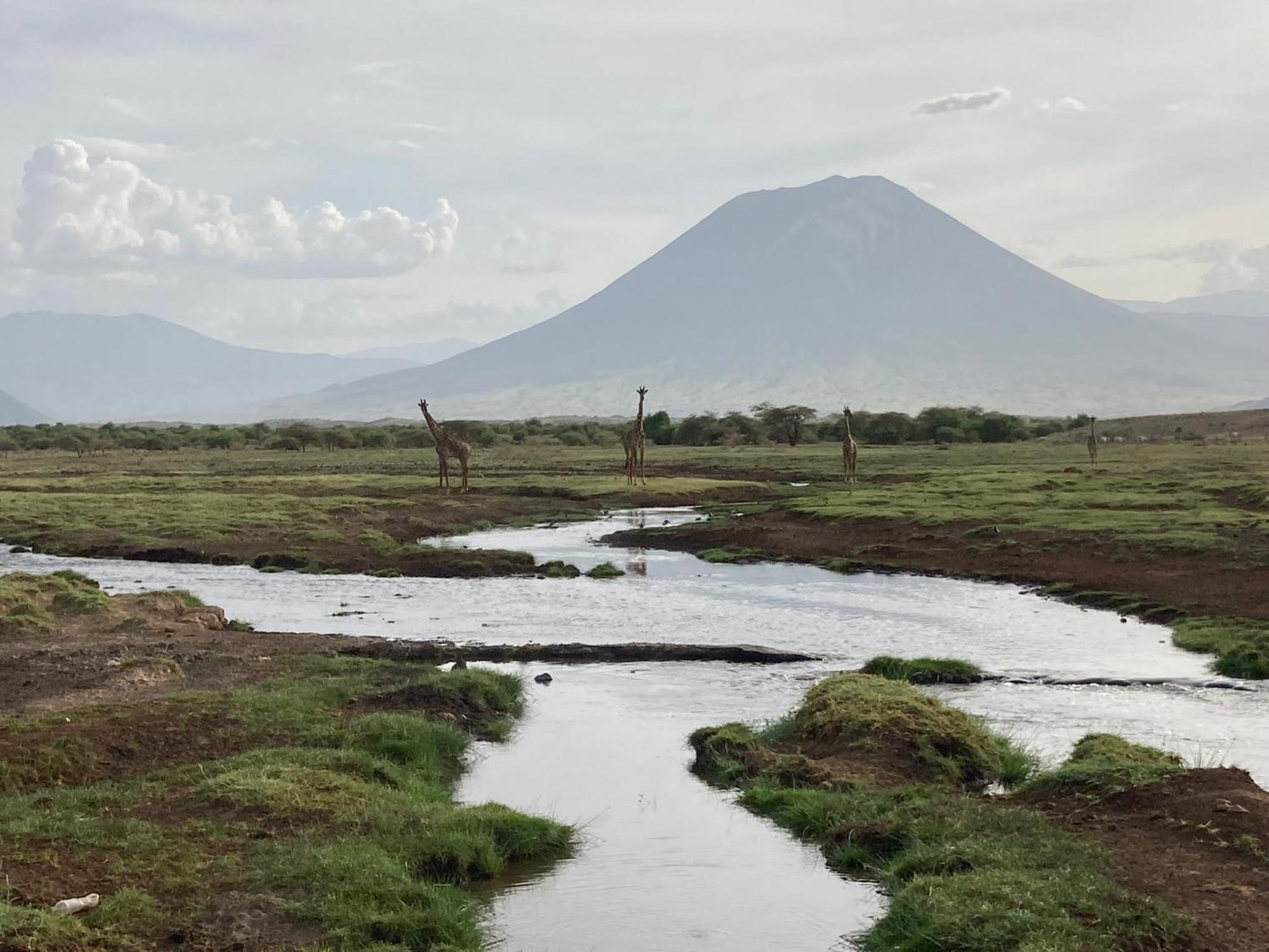 Lake Natron Maasai Guesthouse