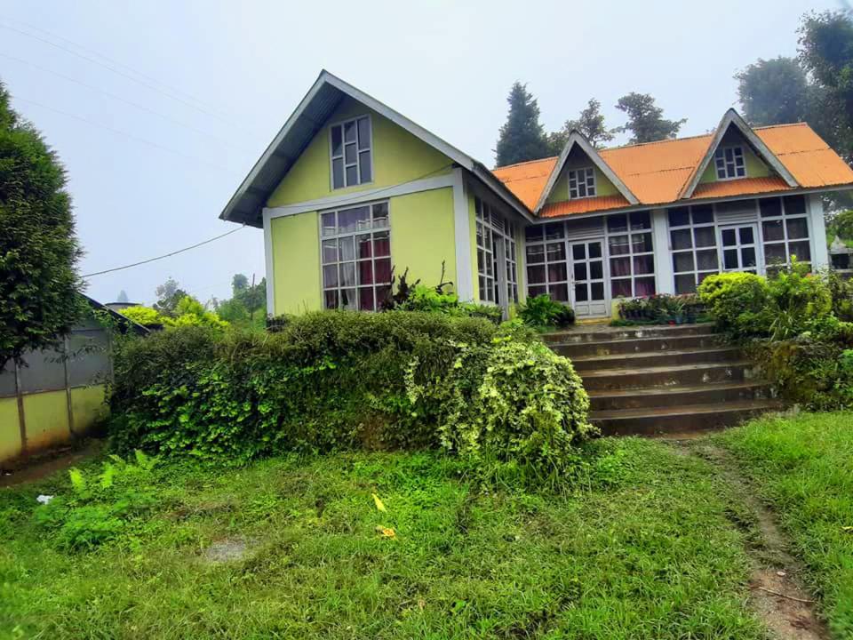 Snow White Holiday Inn Homestay view 3