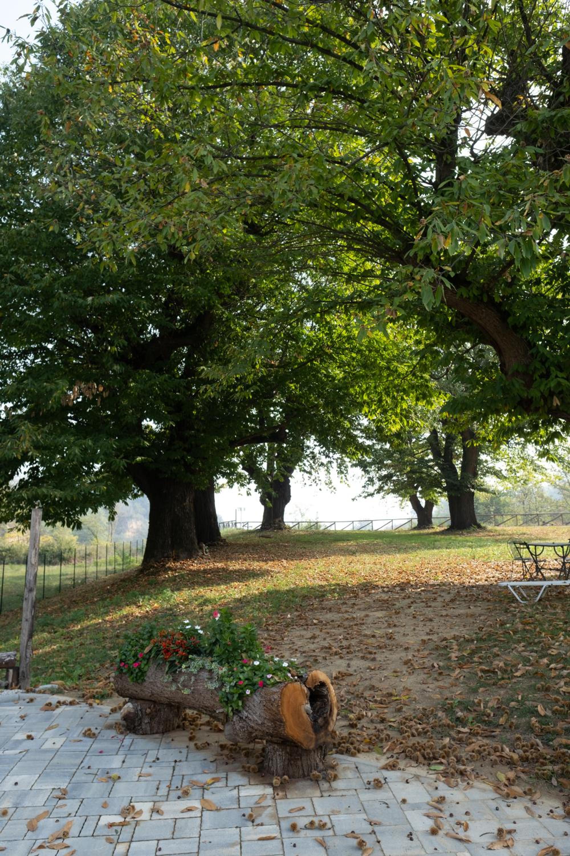 Photo 42