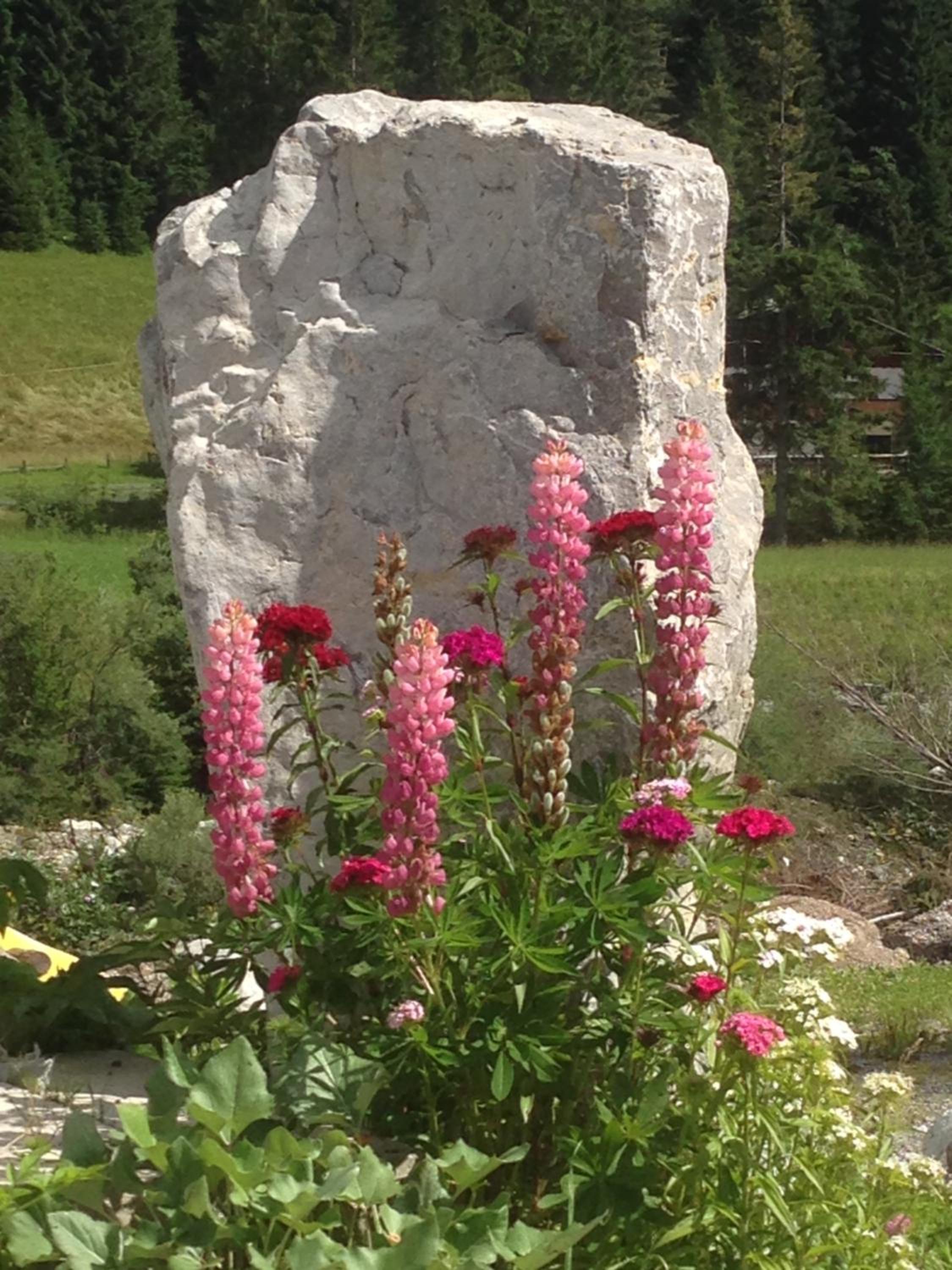 Eirl DOLOMITES Retreat Sappada