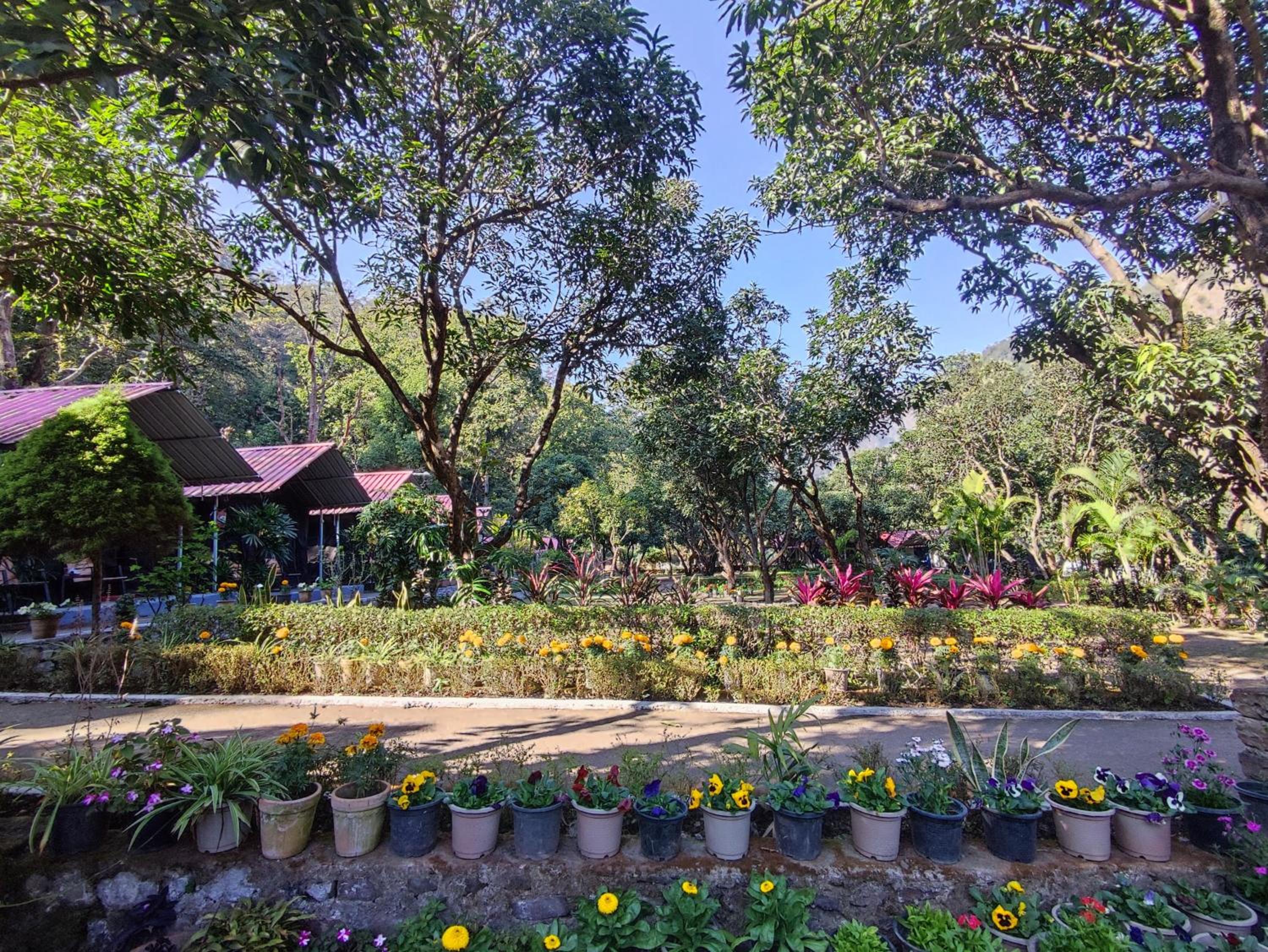 Pebbles Resort view 5