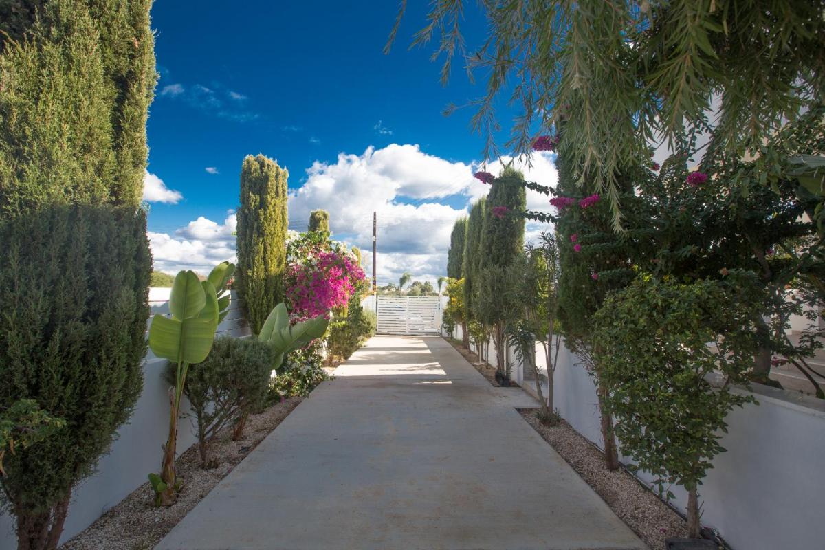 Protaras Holiday Villa De2