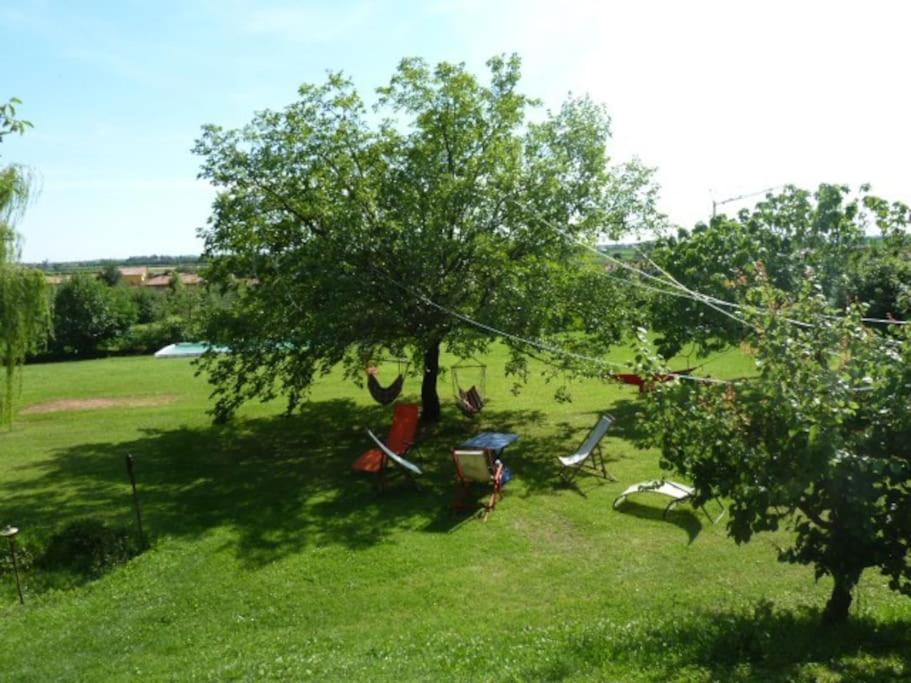 Photo 21