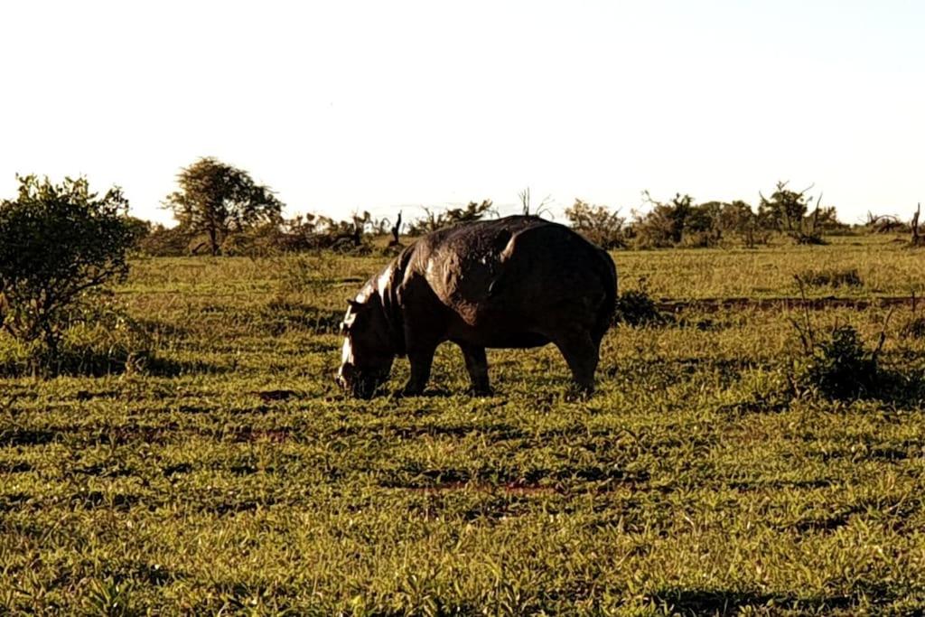 Lindi Lodge, Mjejane Game Reserve view 4