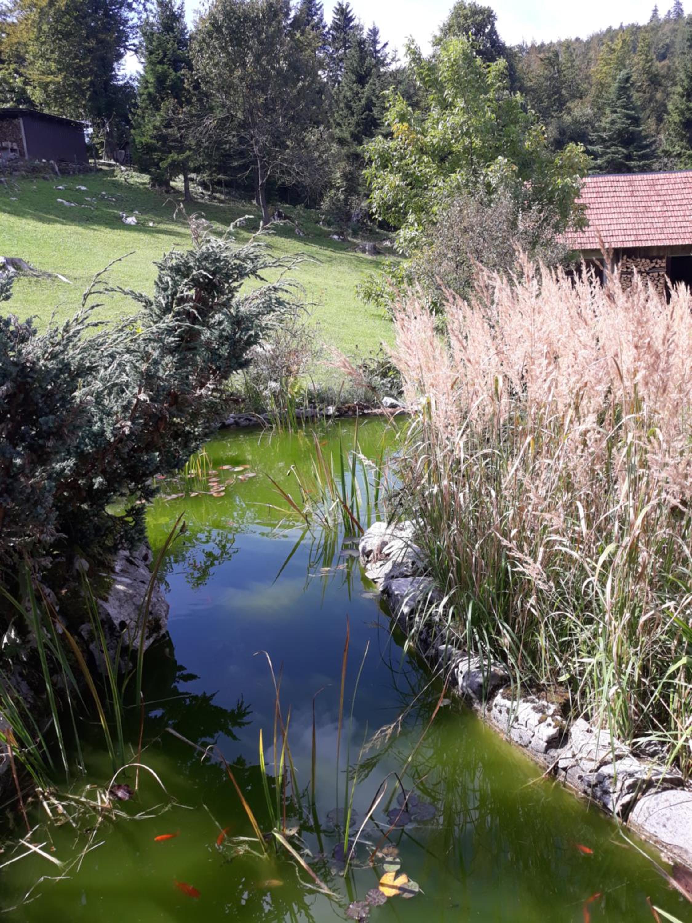 Apartmani Gruzdovo