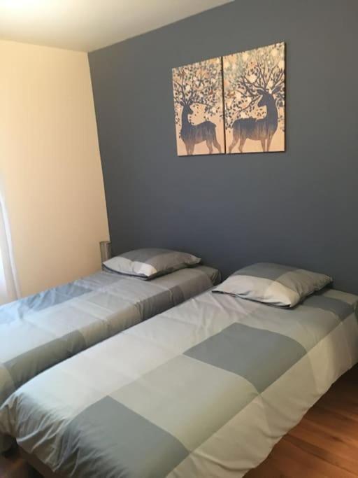 centre Pierrefonds superbe appartement + parking