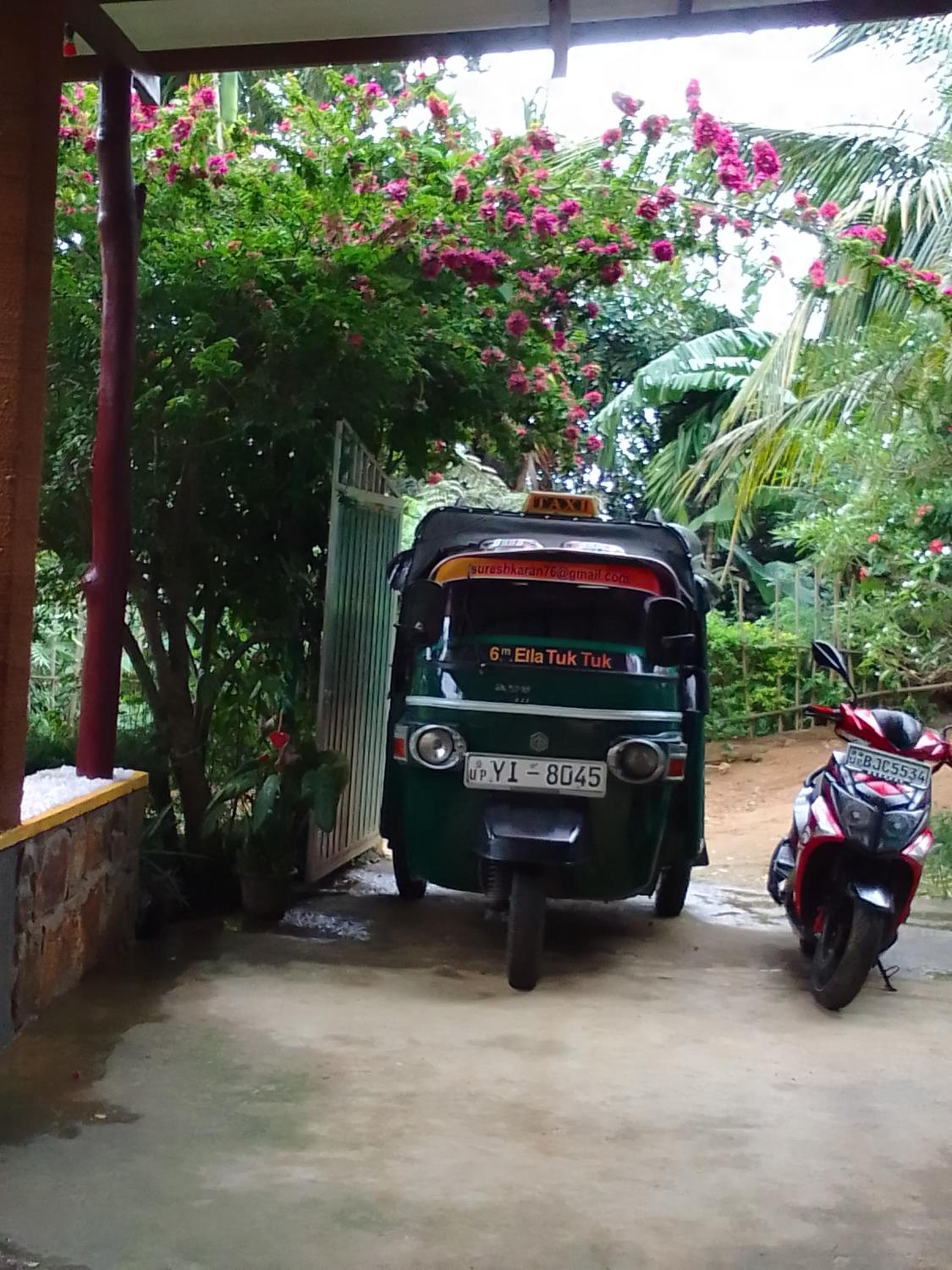 Nature's Rest