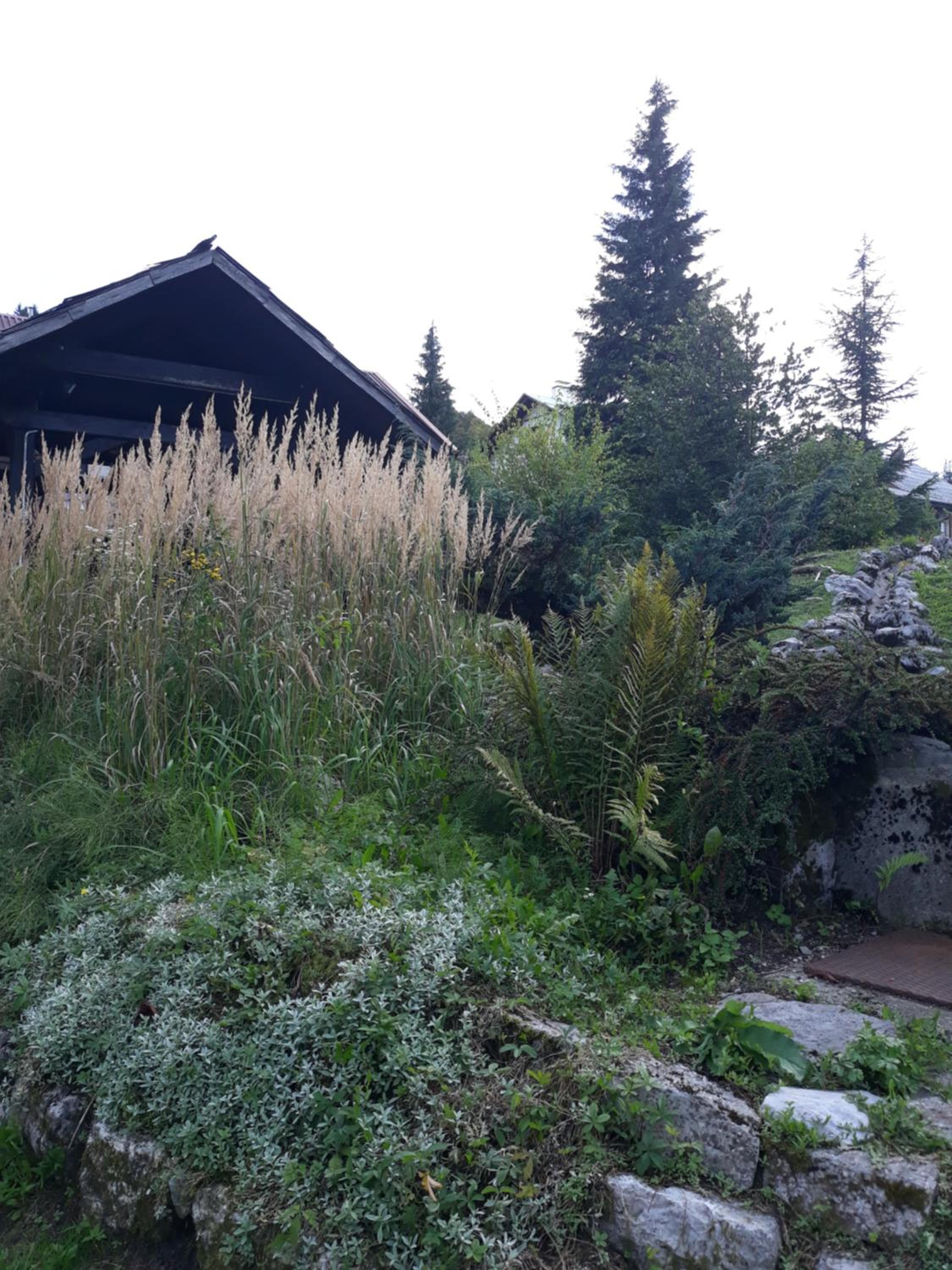 Apartmani Gruzdovo