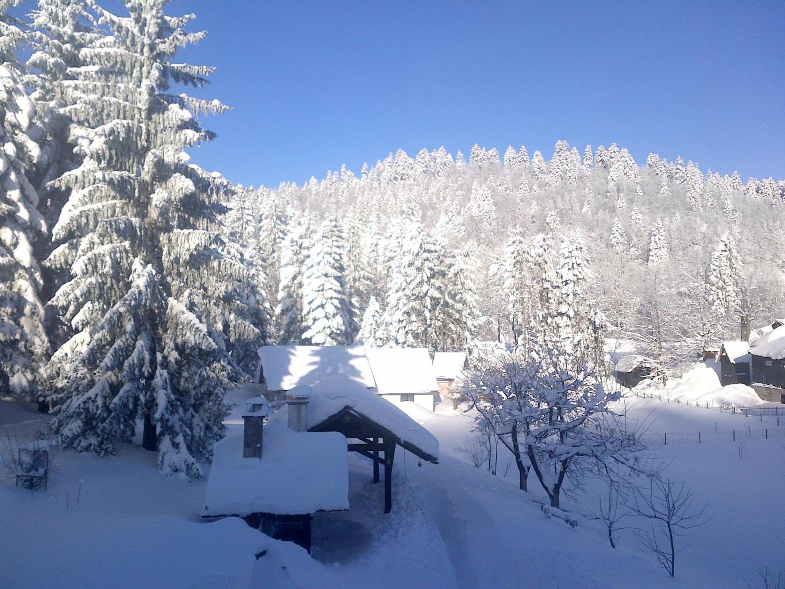 Apartmani Gruzdovo