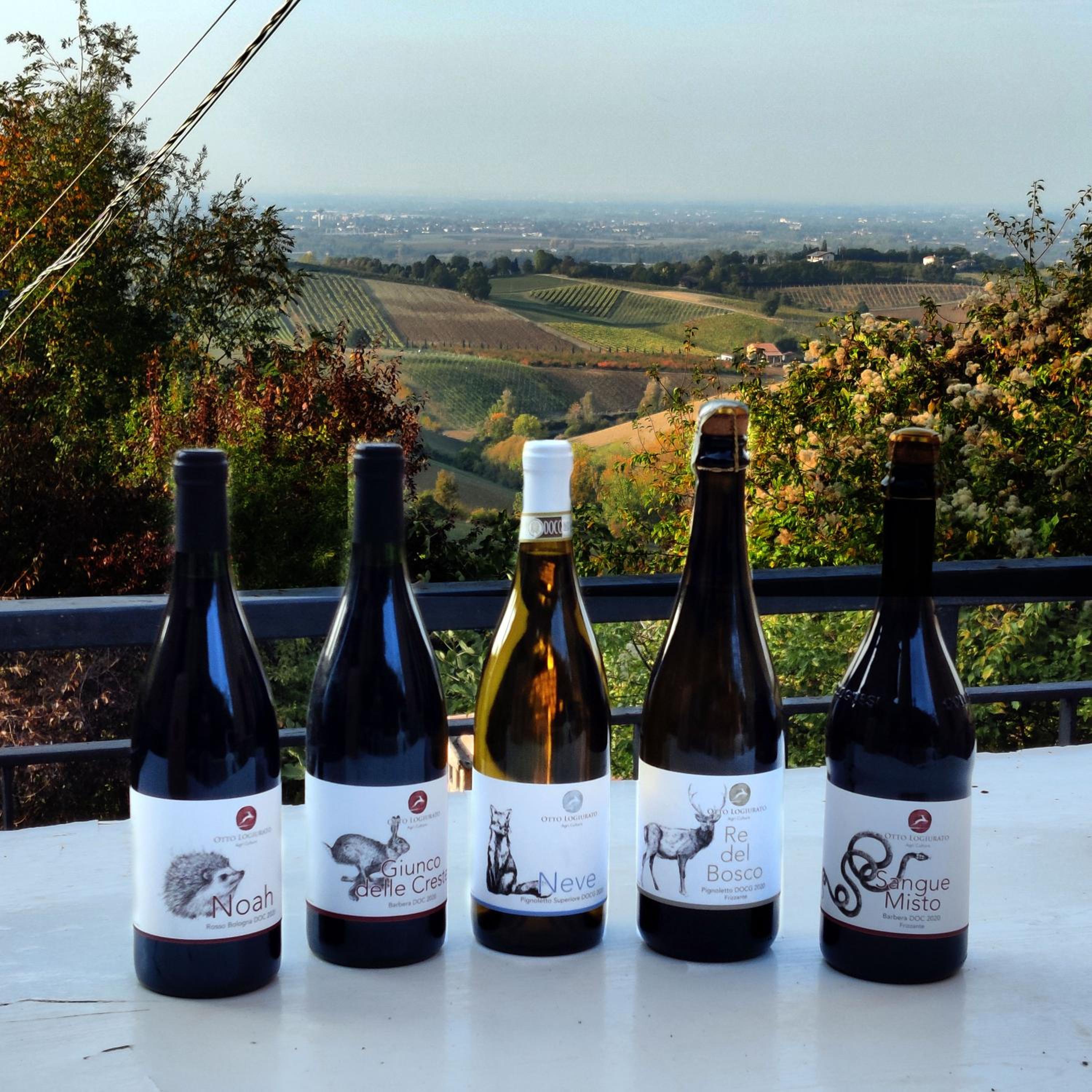 Montebudello