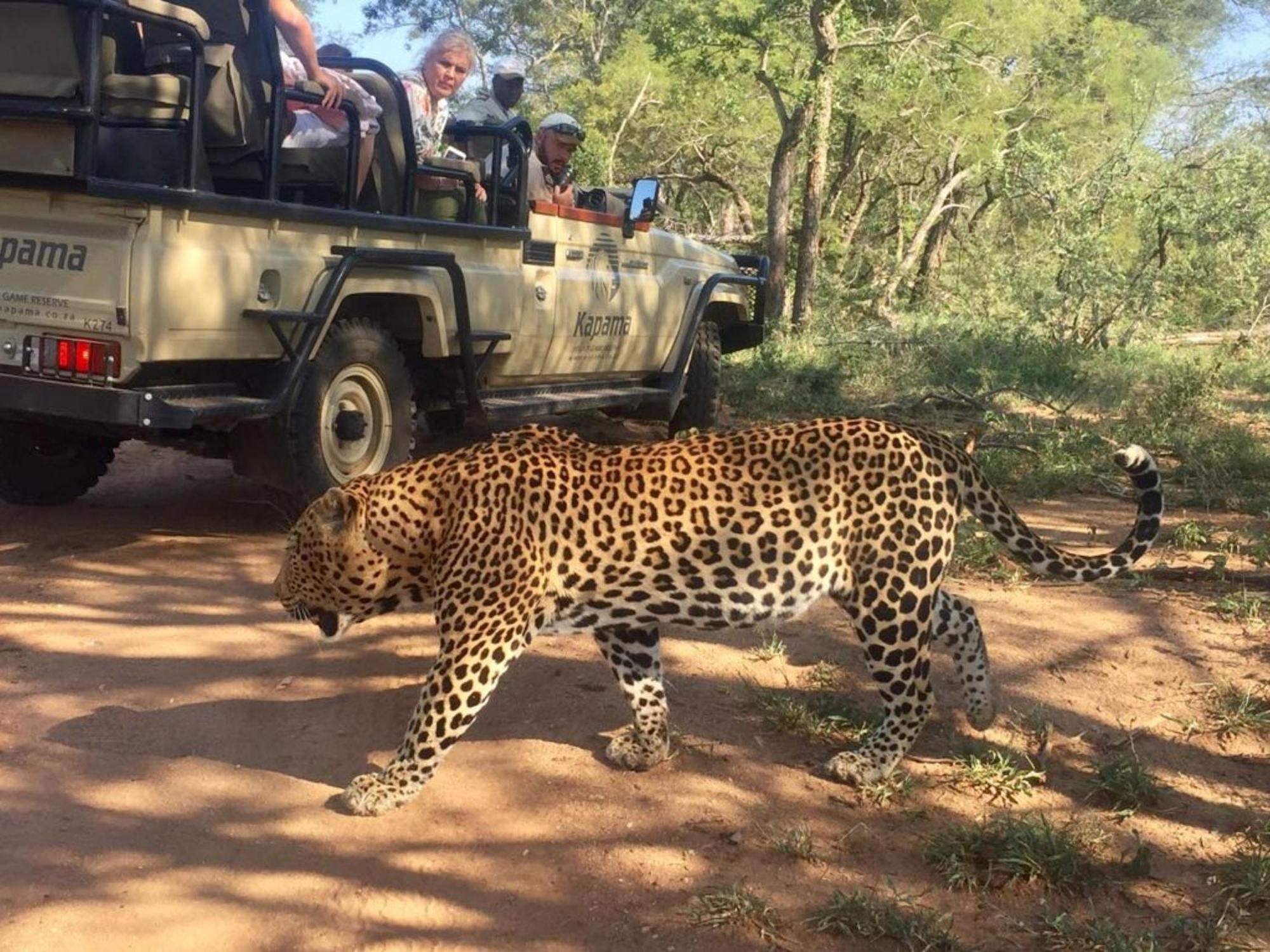 Kapama Buffalo Camp