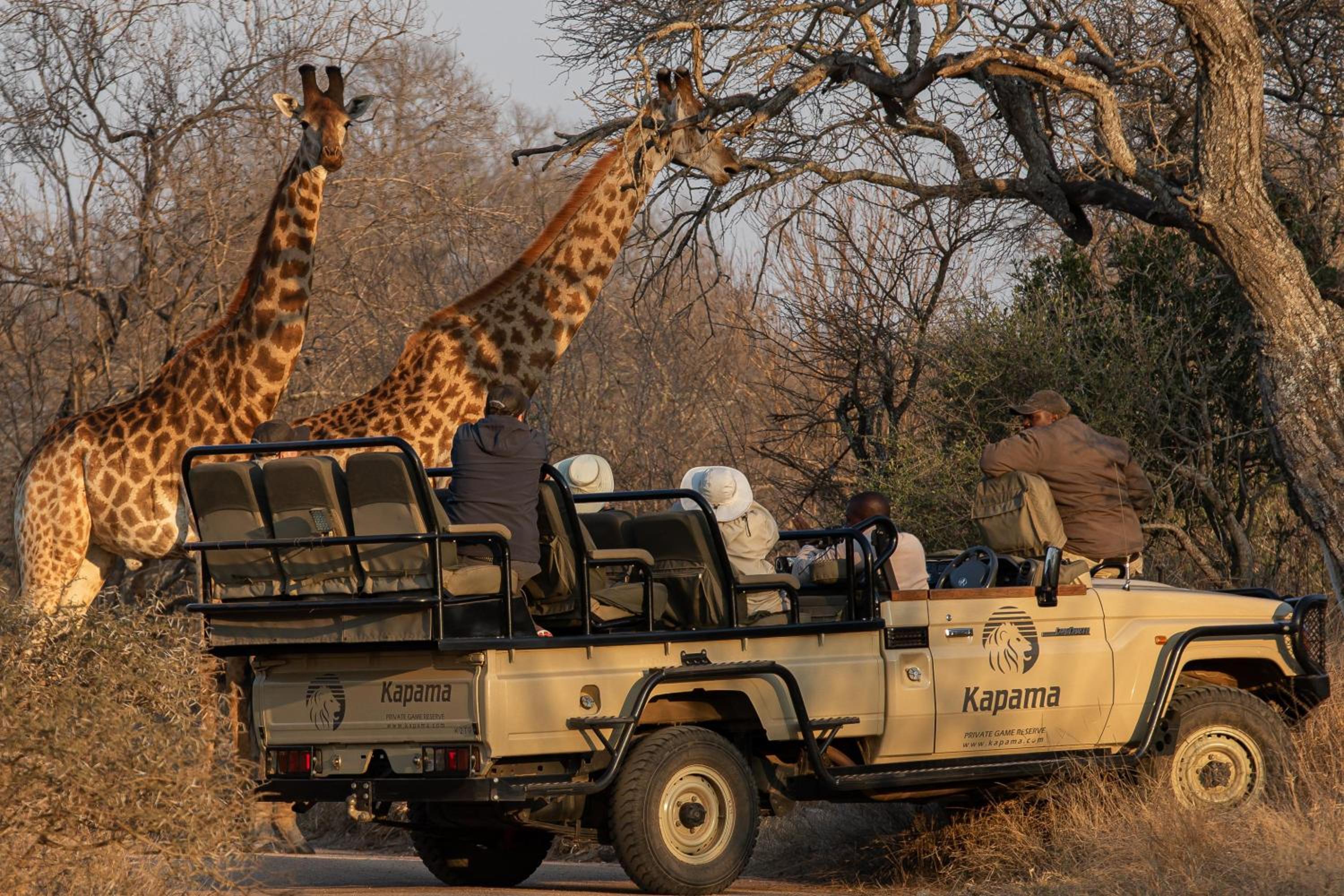 Kapama Buffalo Camp
