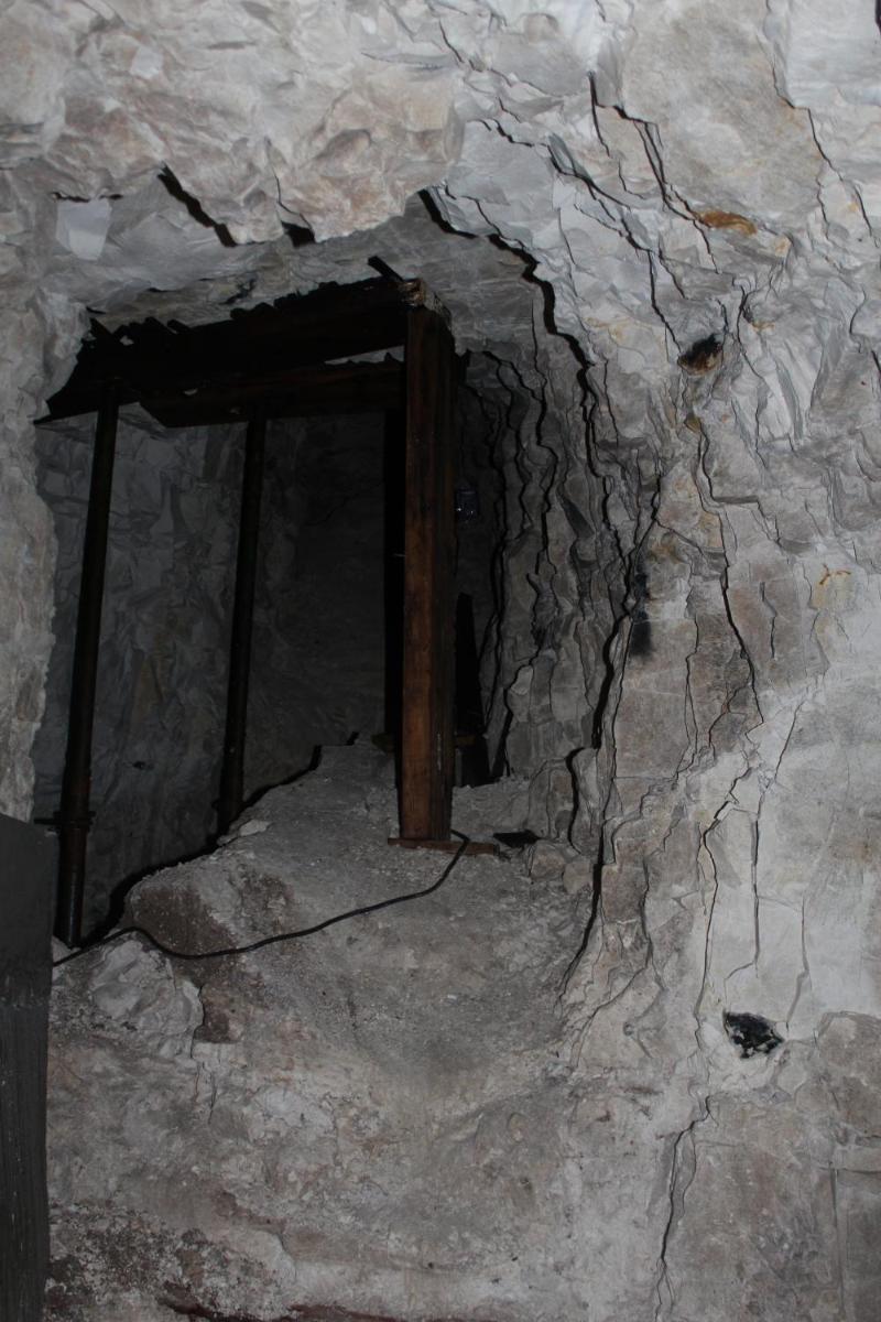 Photo 44