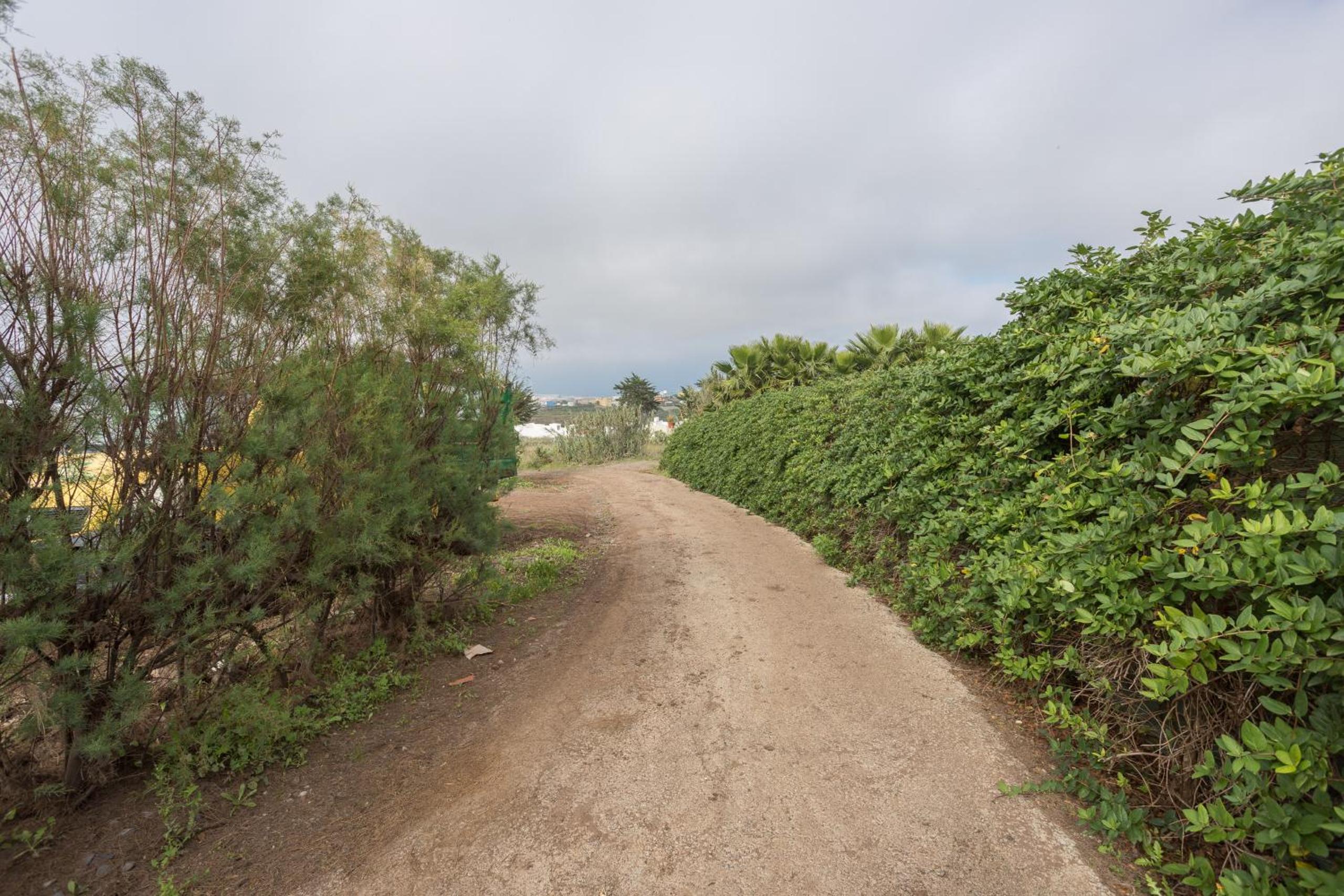 Photo 43