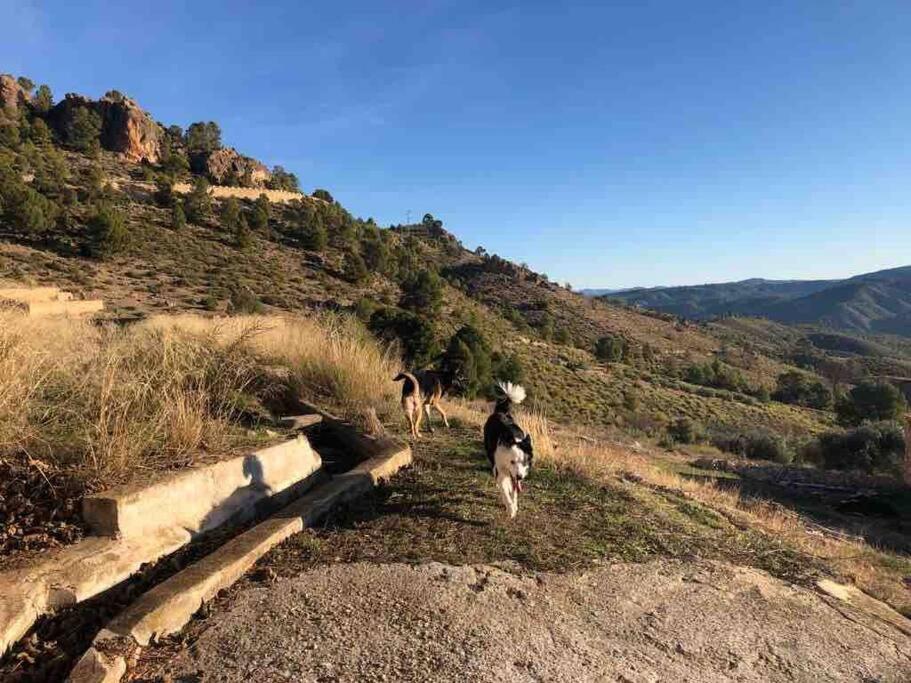 Casa Rural con encanto Señorio Manchego ALBACETE