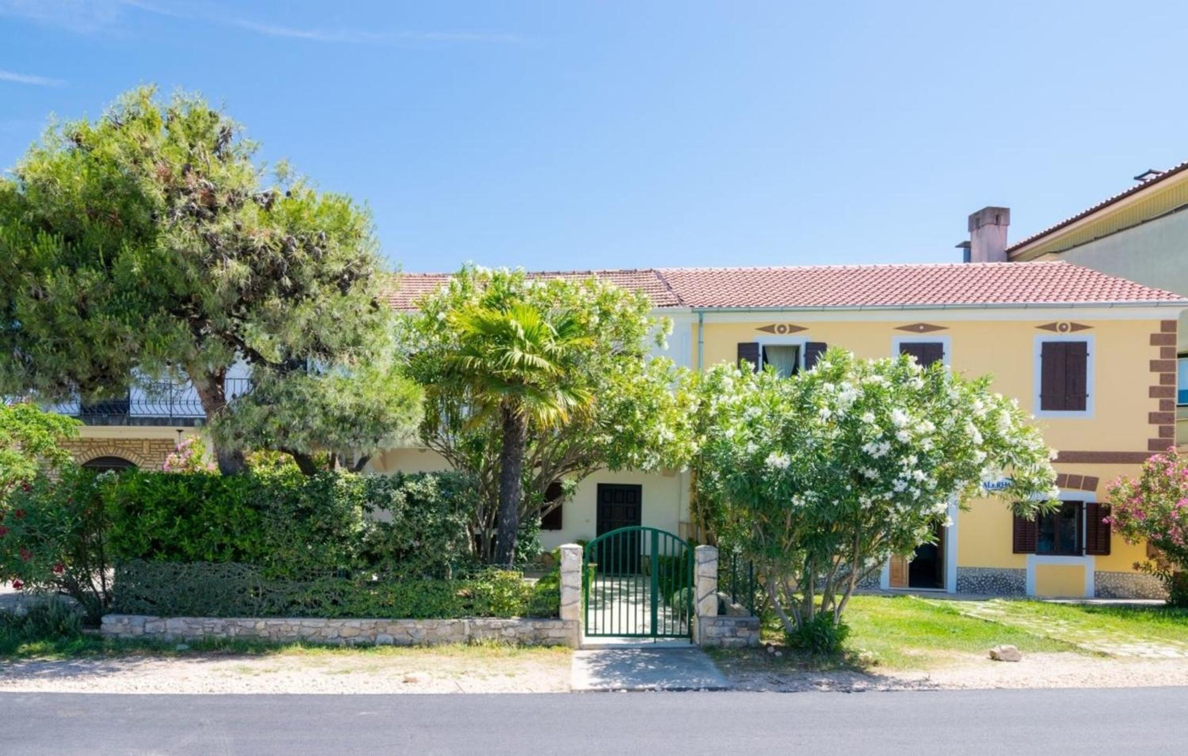 House Oleander