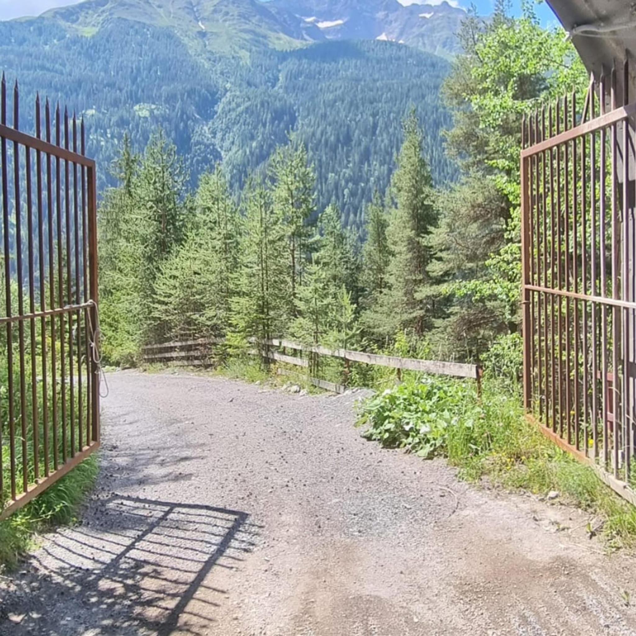 Bergblick Vadiesen