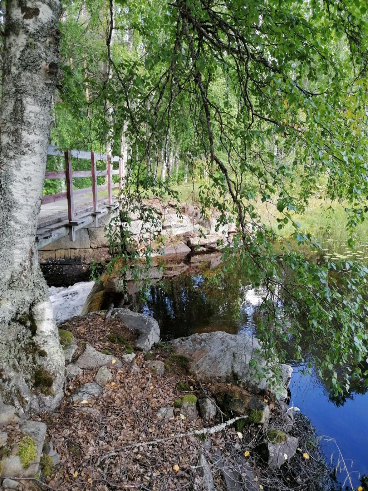 Photo 15
