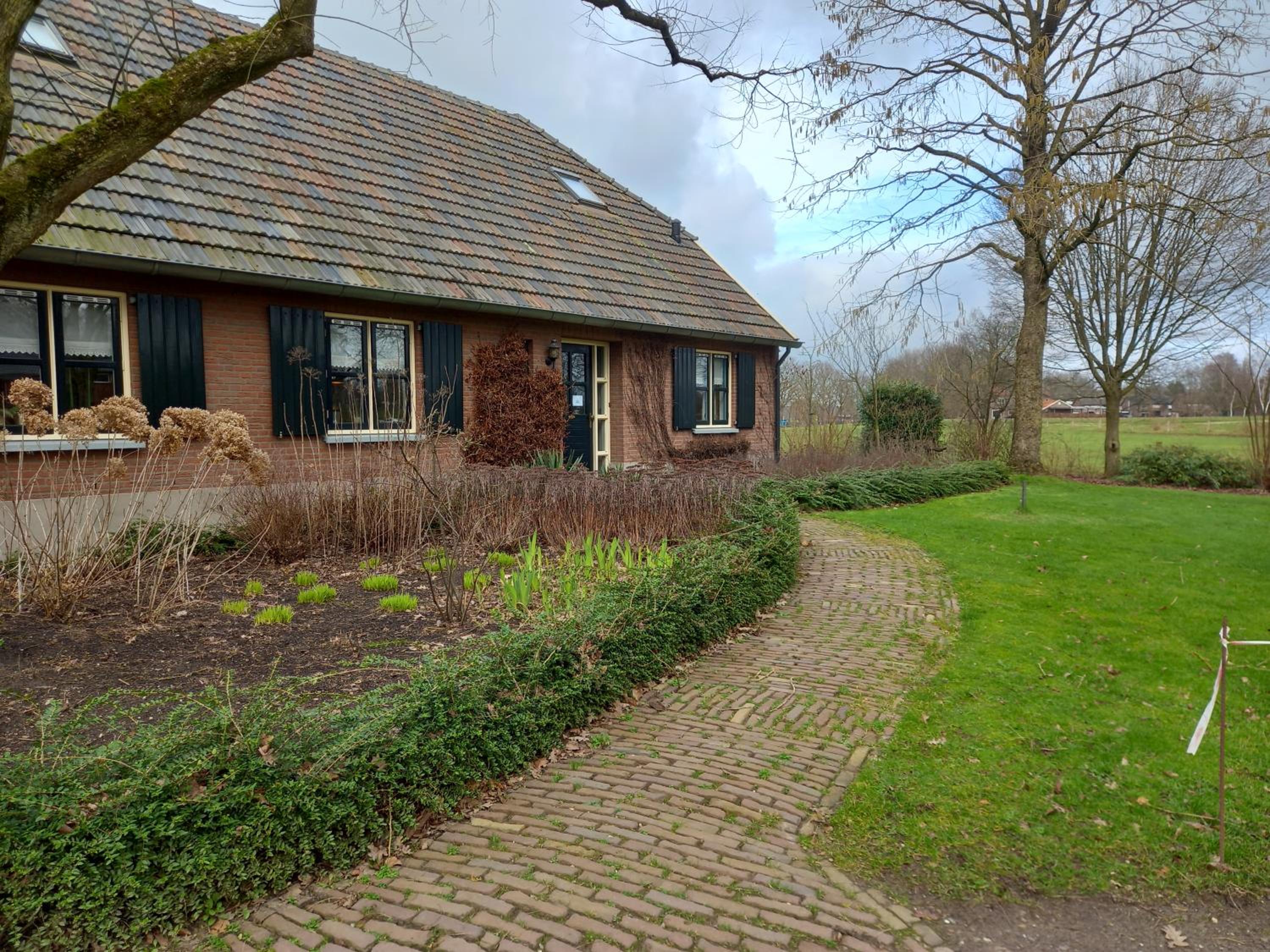 Photo 16