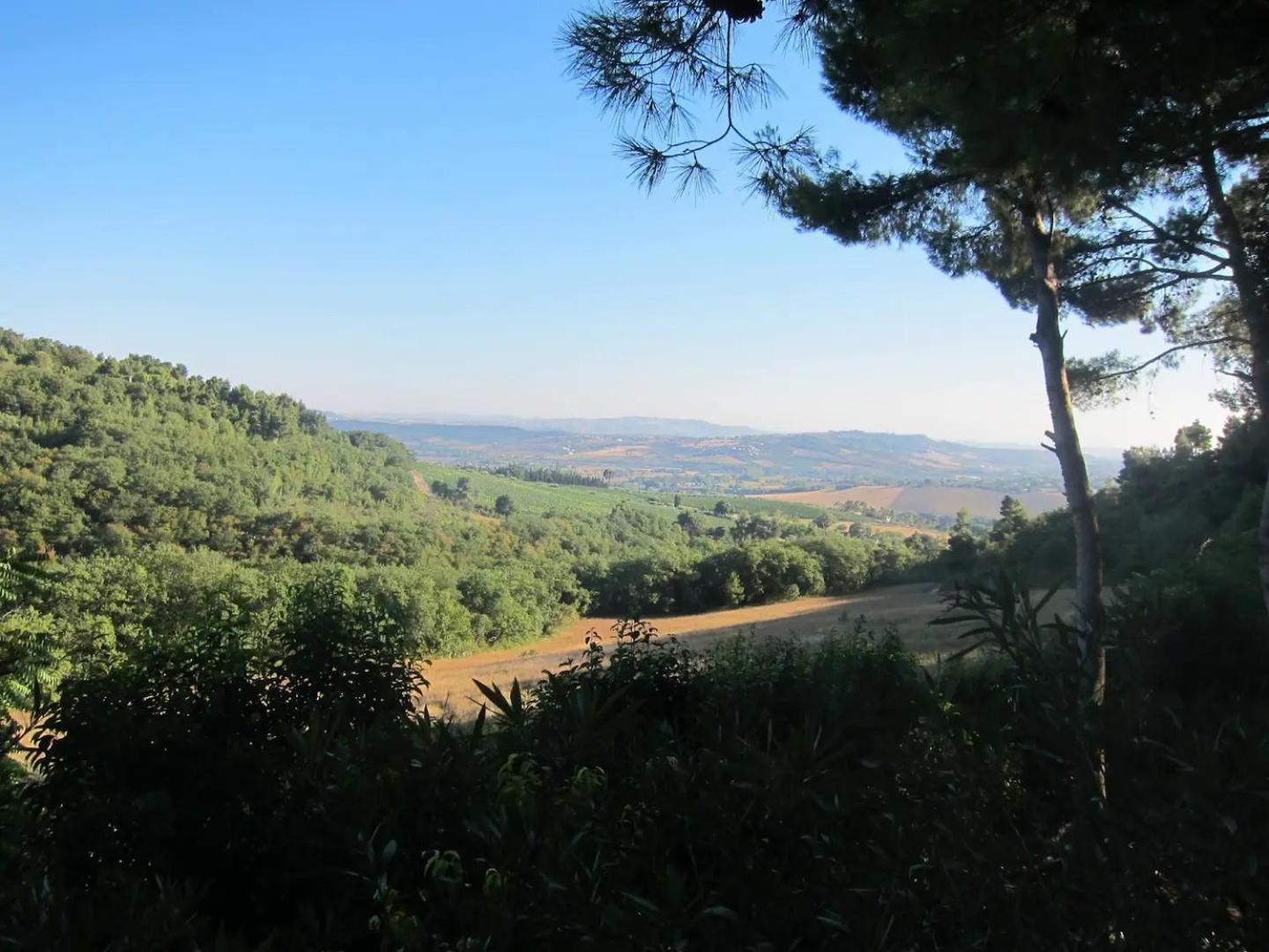 Photo 47