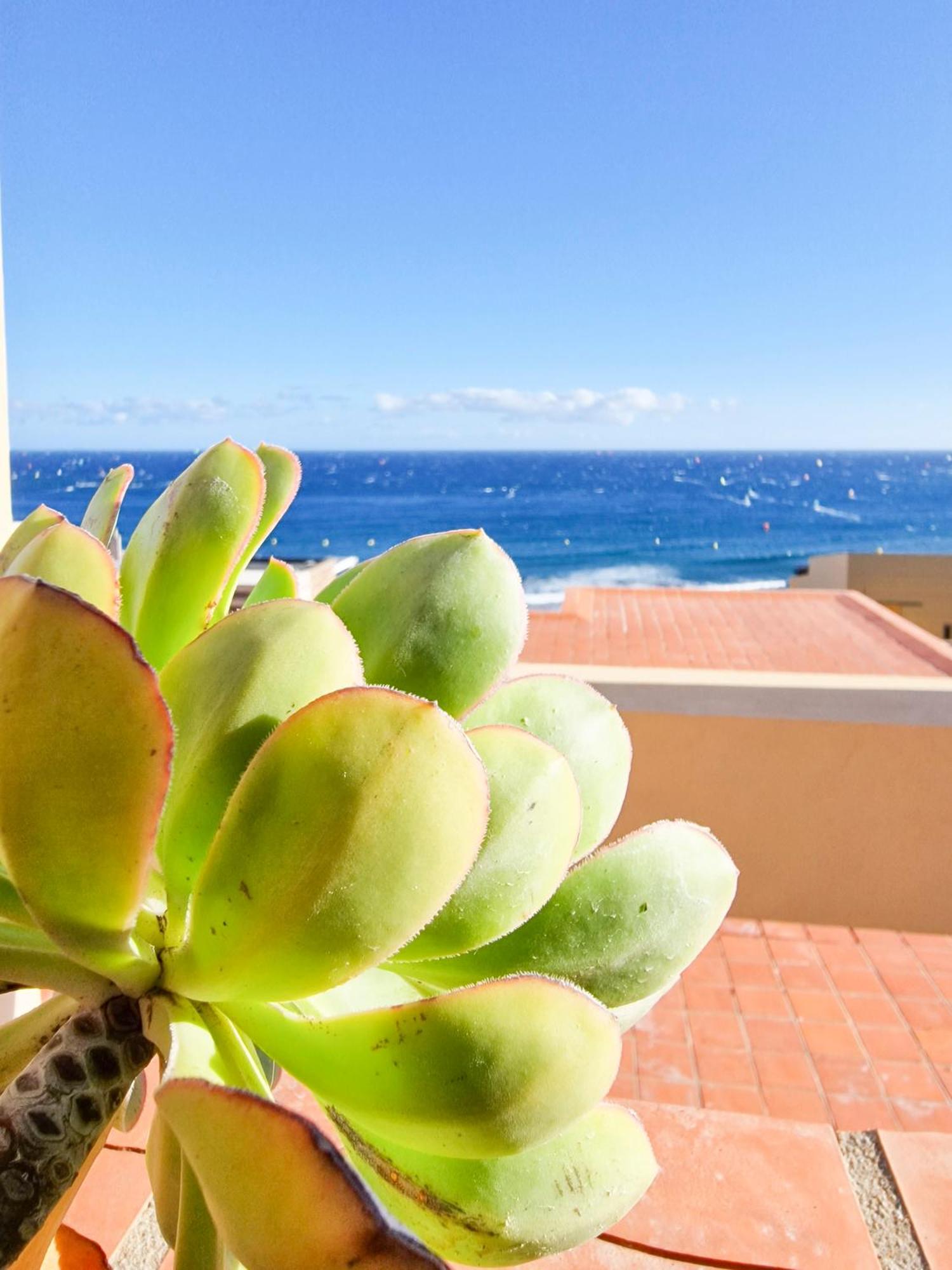 MEDANO4YOU The Ocean Terrace Penthouse