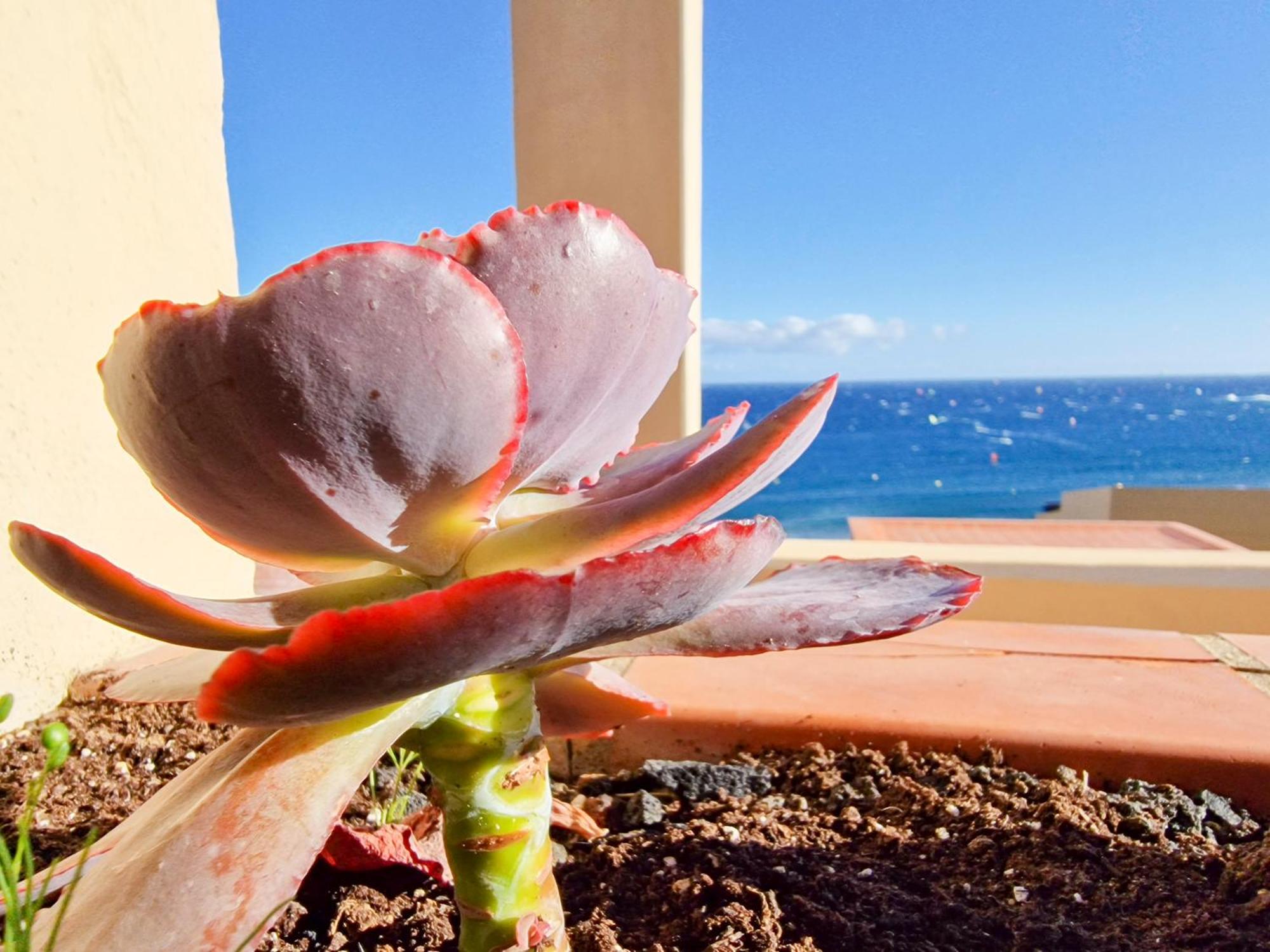 MEDANO4YOU The Ocean Terrace Penthouse