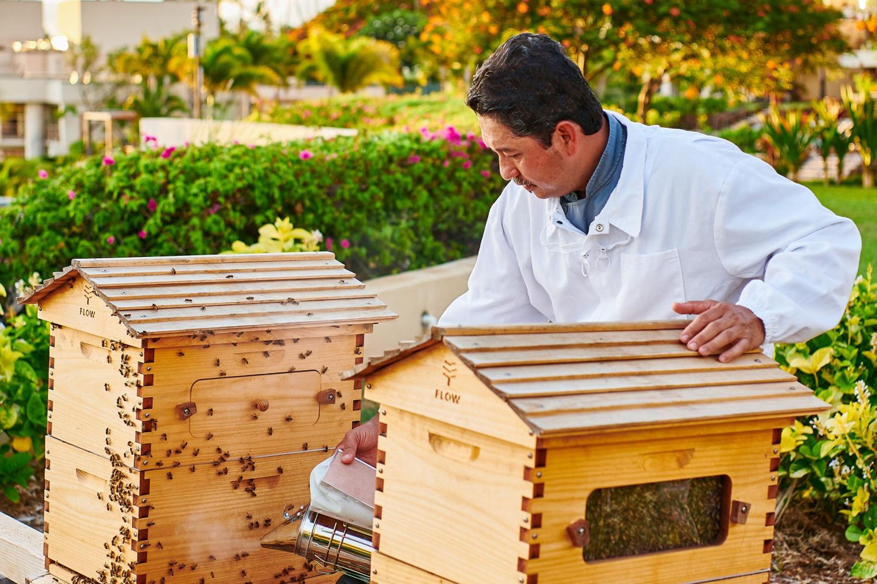 The Westin Hapuna Beach Resort - Property Image 143