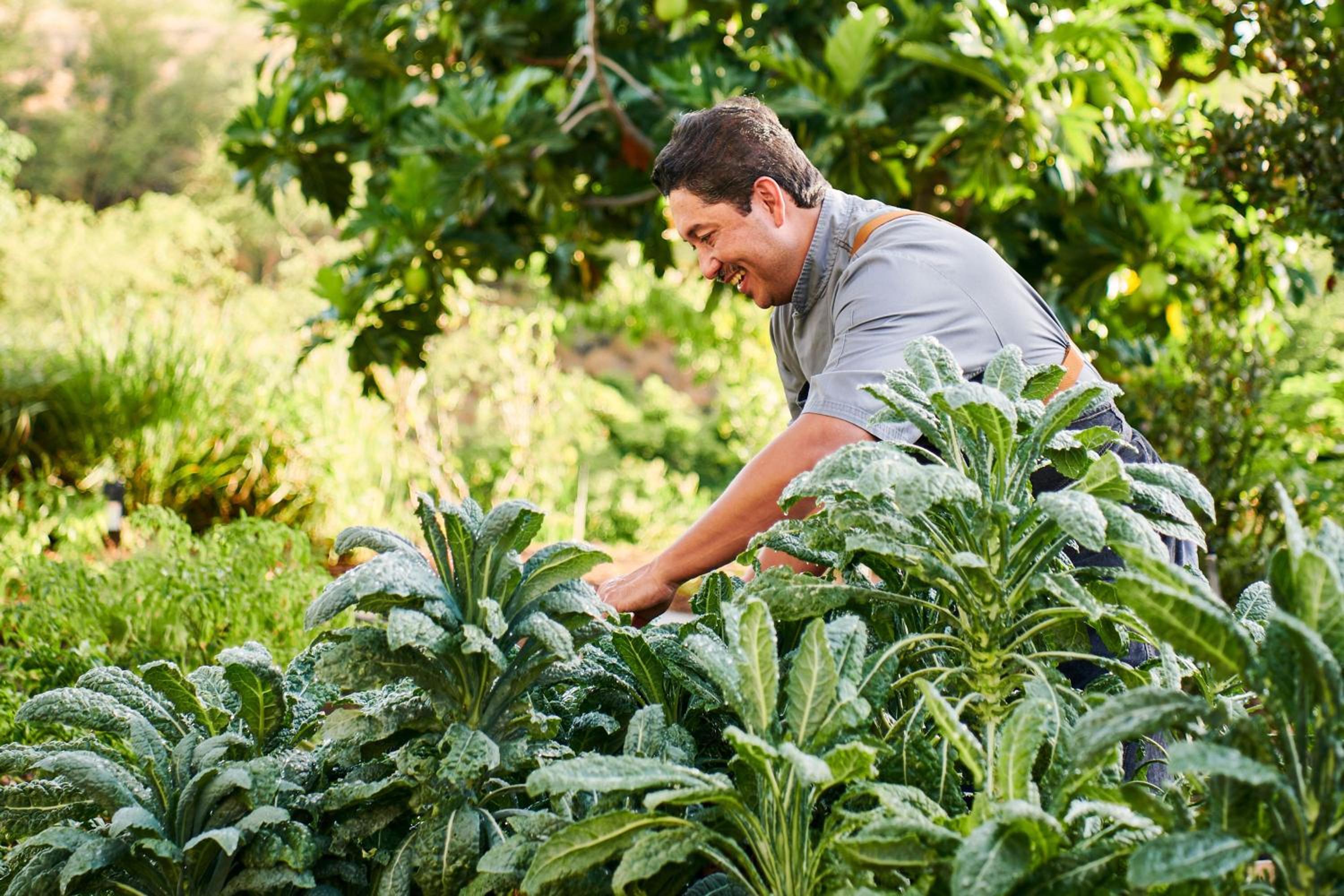 The Westin Hapuna Beach Resort - Property Image 144