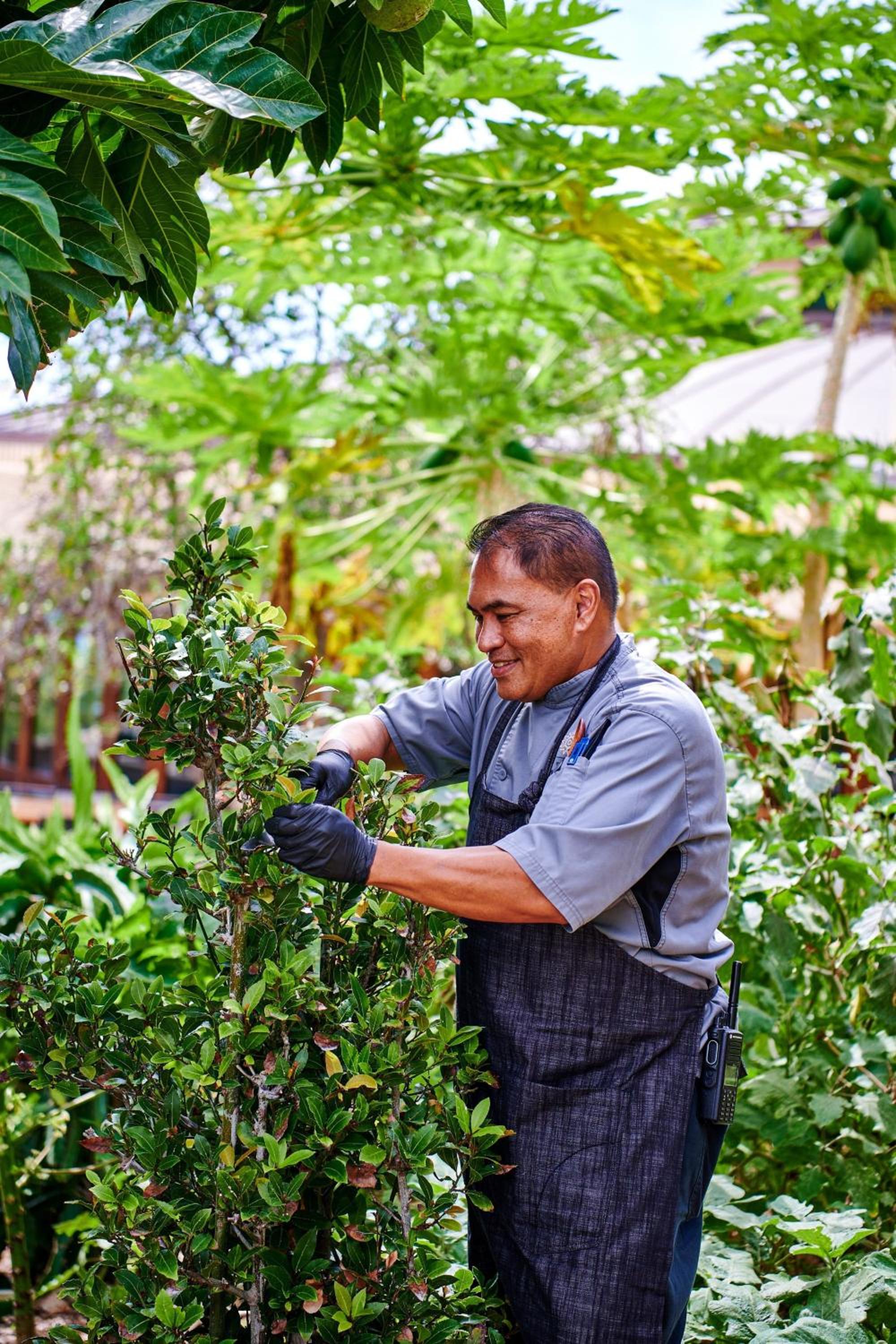 The Westin Hapuna Beach Resort - Property Image 171