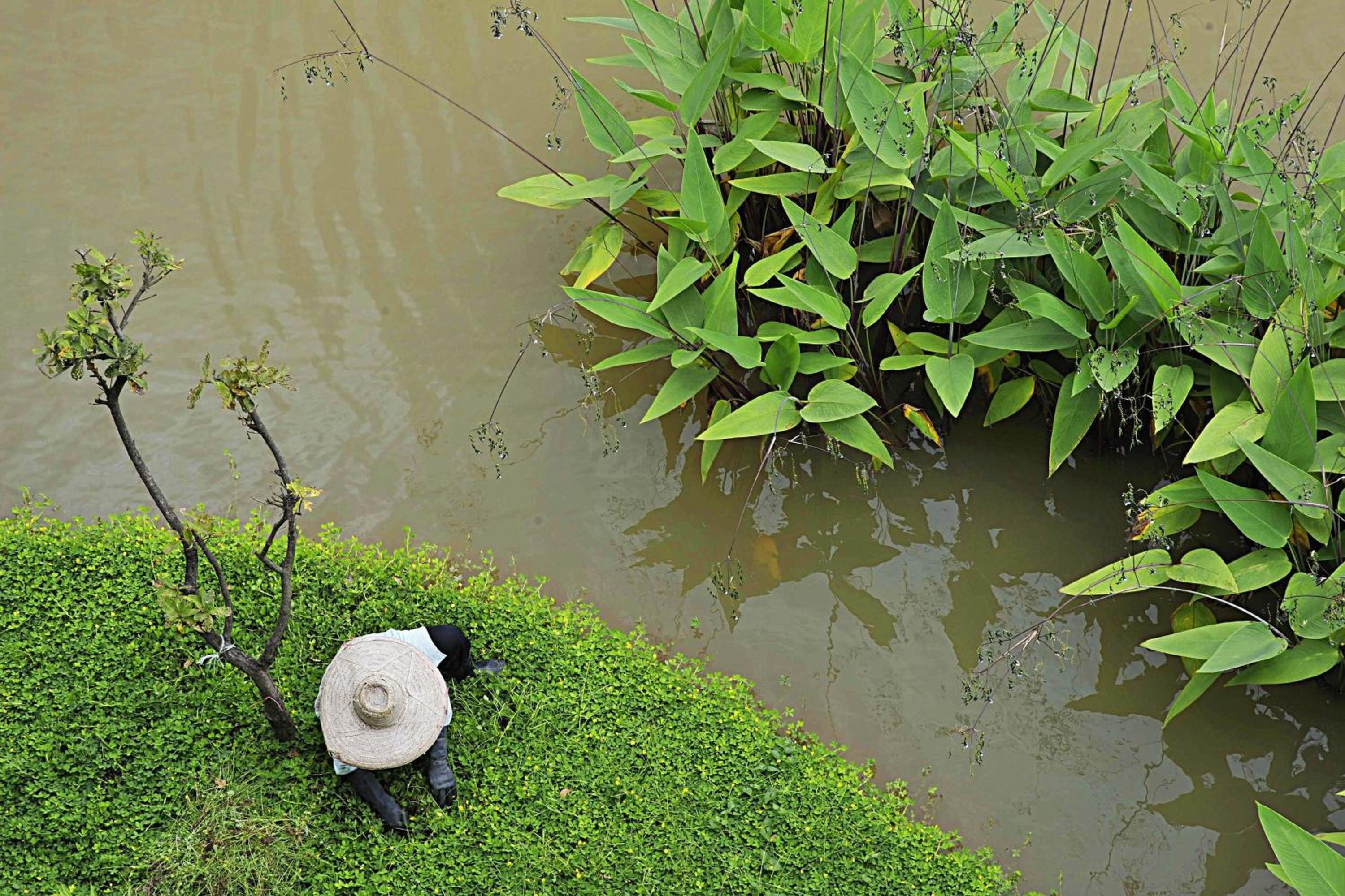 Le Meridien Chiang Rai Resort, Thailand — photo 45