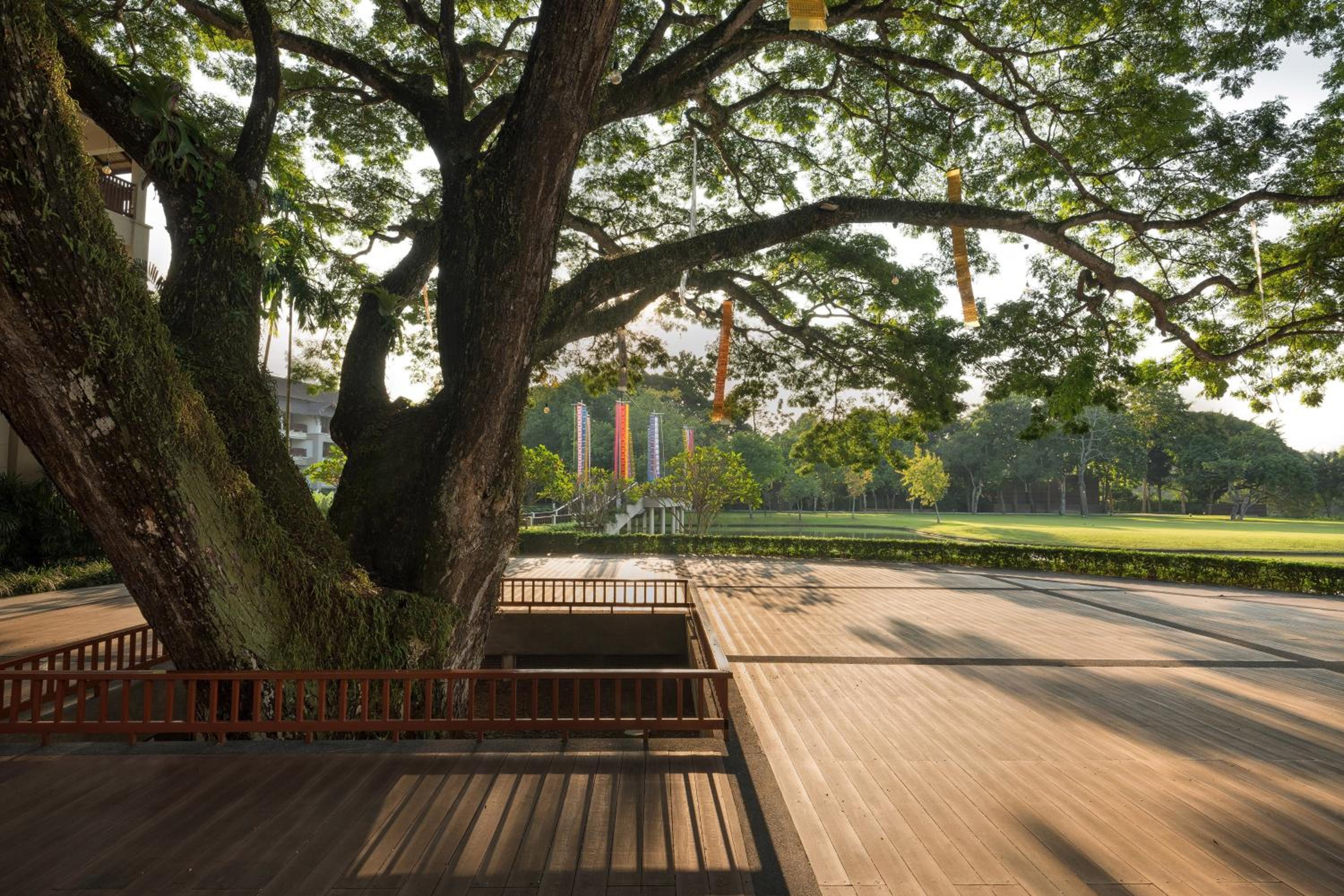 Le Meridien Chiang Rai Resort, Thailand — photo 106