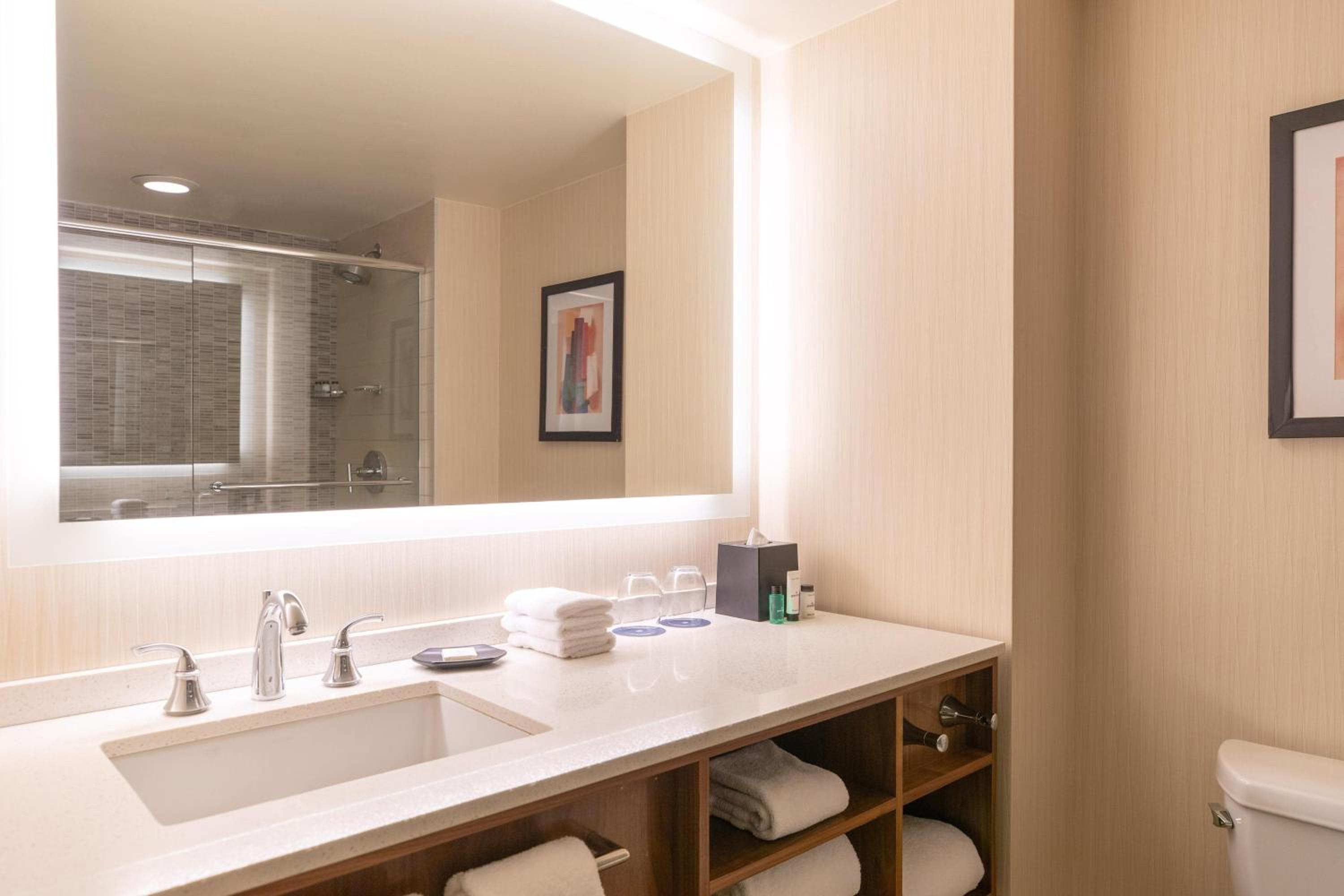 Chicago Vacations - Sheraton Grand Chicago Riverwalk - Property Image 36
