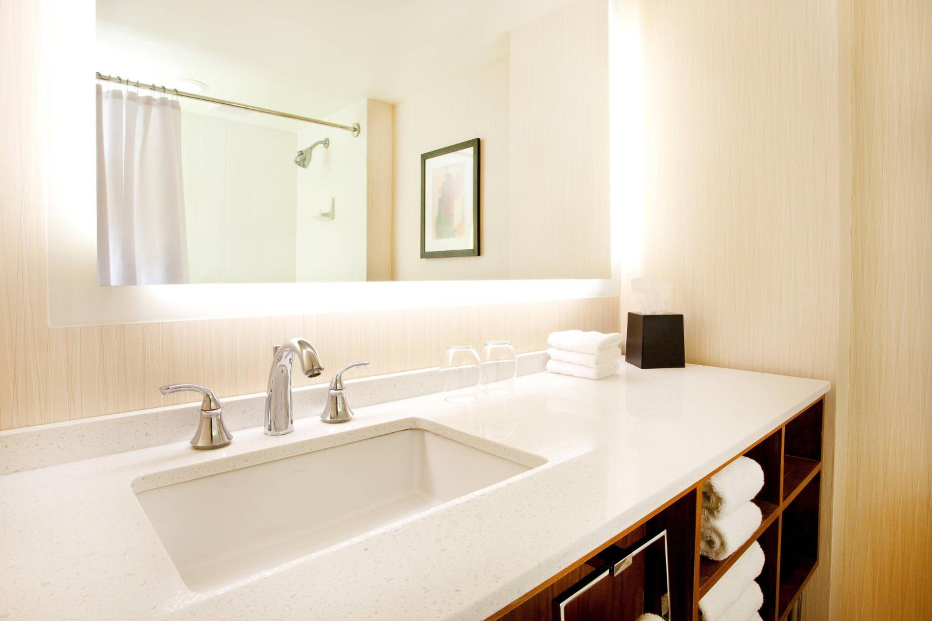Chicago Vacations - Sheraton Grand Chicago Riverwalk - Property Image 38