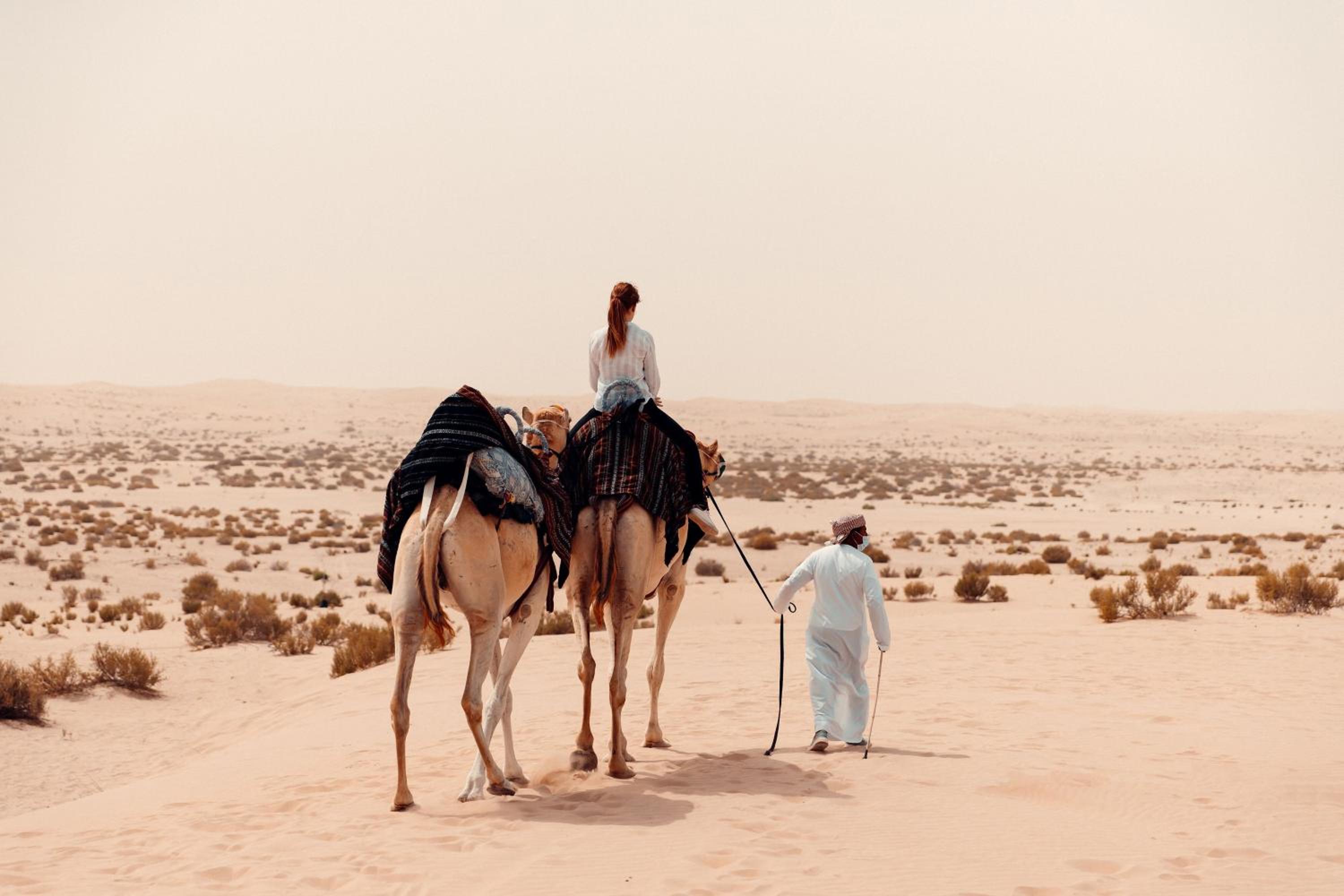 Al Wathba, a Luxury Collection Desert Resort & Spa, Abu Dhabi photo 5