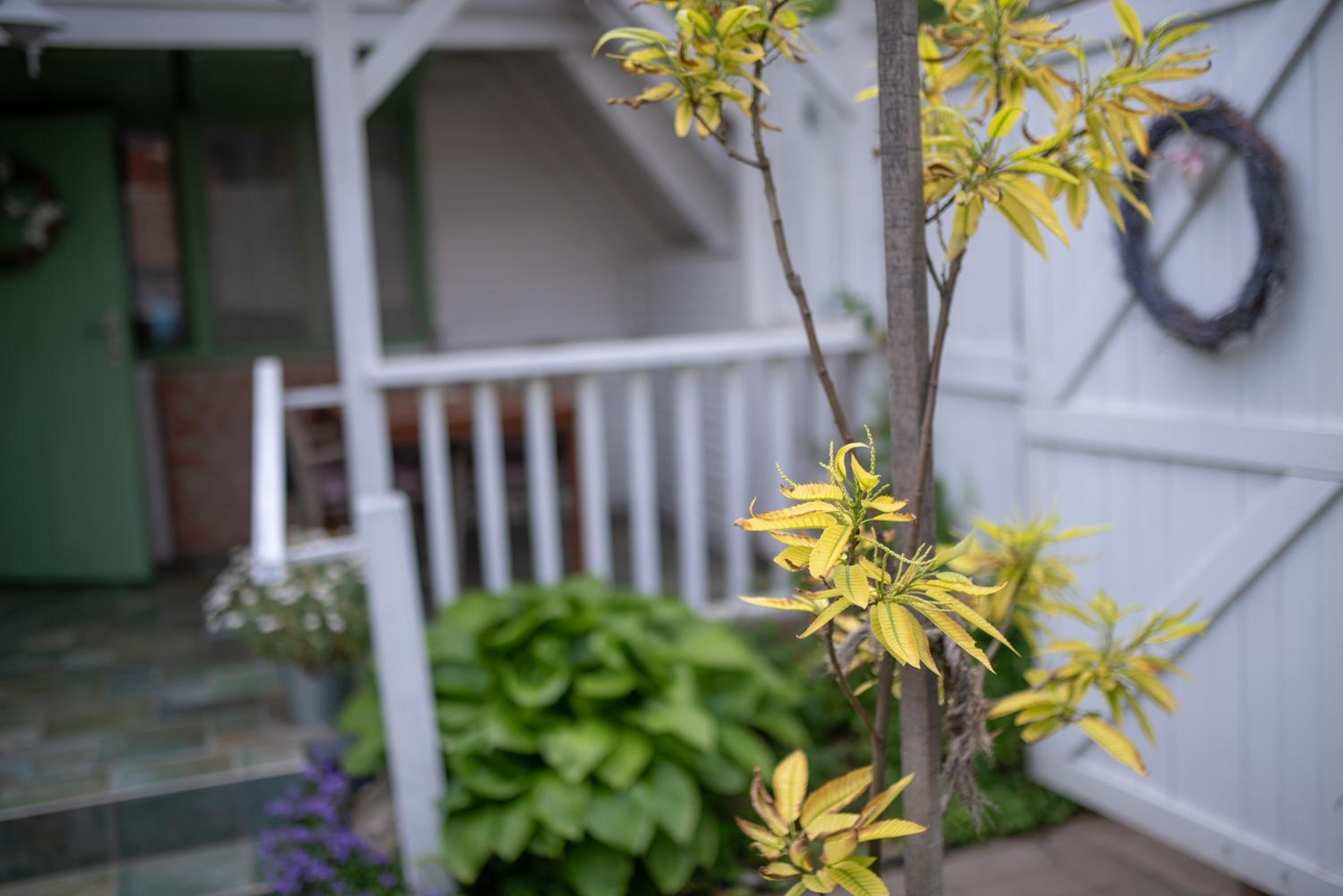 Photo 47