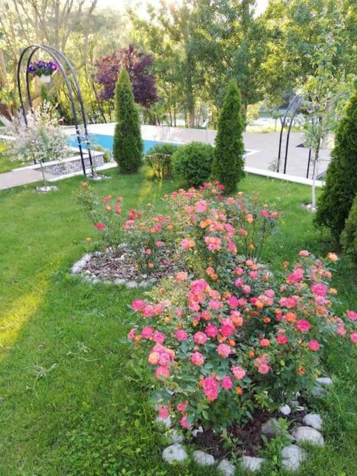 Luxury Family Villa on Neretva - Private Pool - Vila Kuća Mira