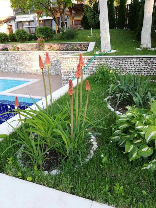 Luxury Family Villa on Neretva - Private Pool - Vila Kuća Mira
