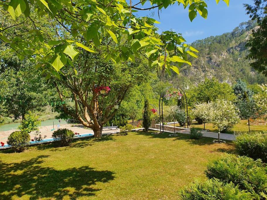 Luxury Family Villa on Neretva - Private Pool - Vila Kuća Mira