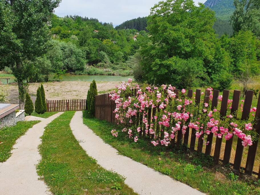 Luxury Family Villa on Neretva - Private Pool - Vila Kuća Mira
