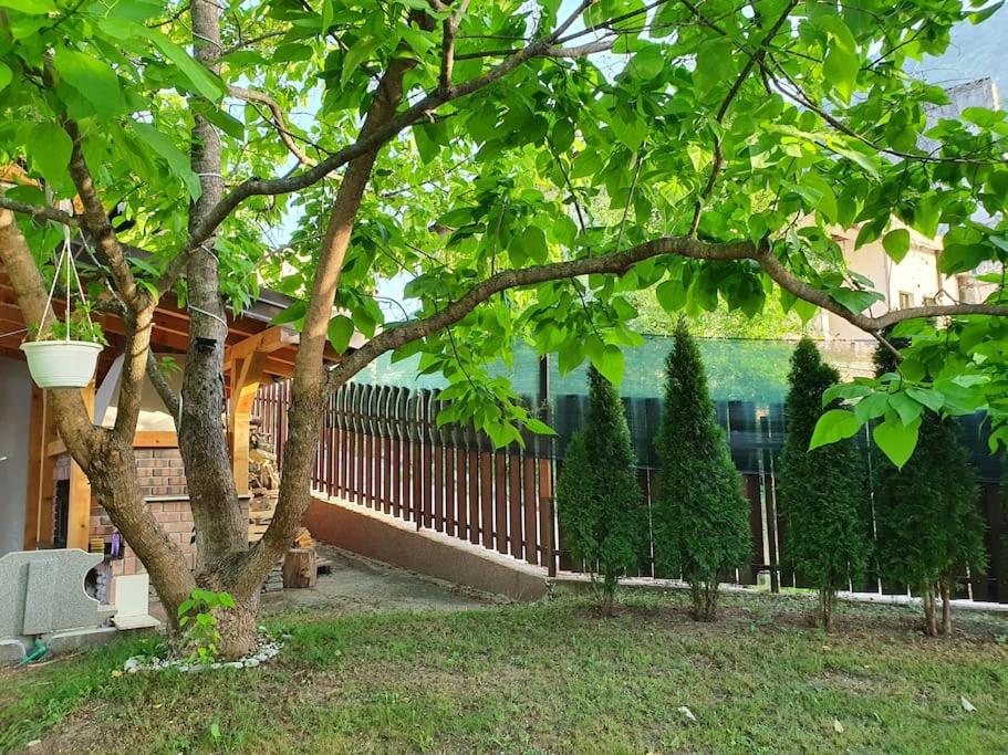 Luxury Family Villa on Neretva - Private Pool - Vila Kuća Mira