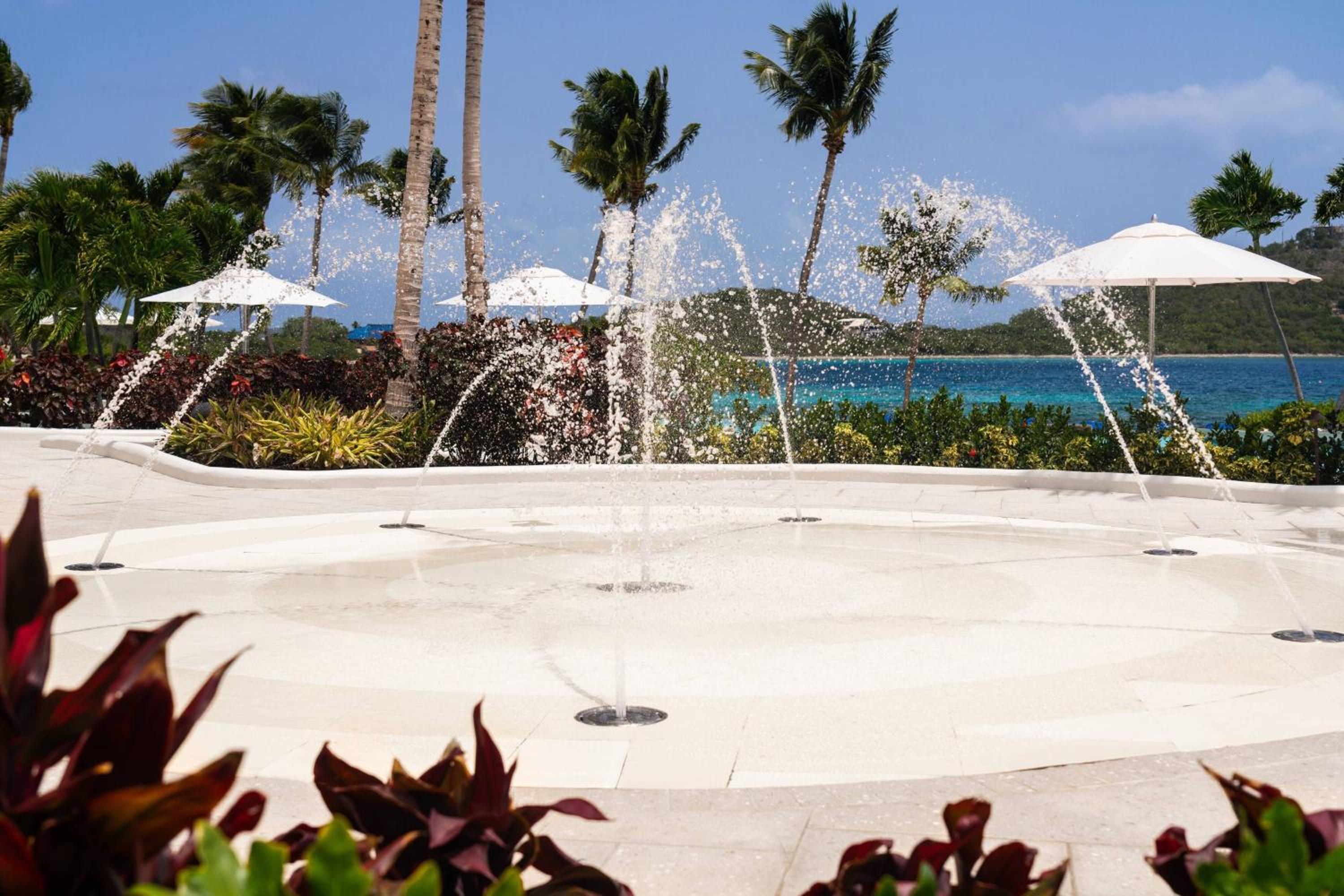 The Ritz-Carlton St. Thomas - Photo 119