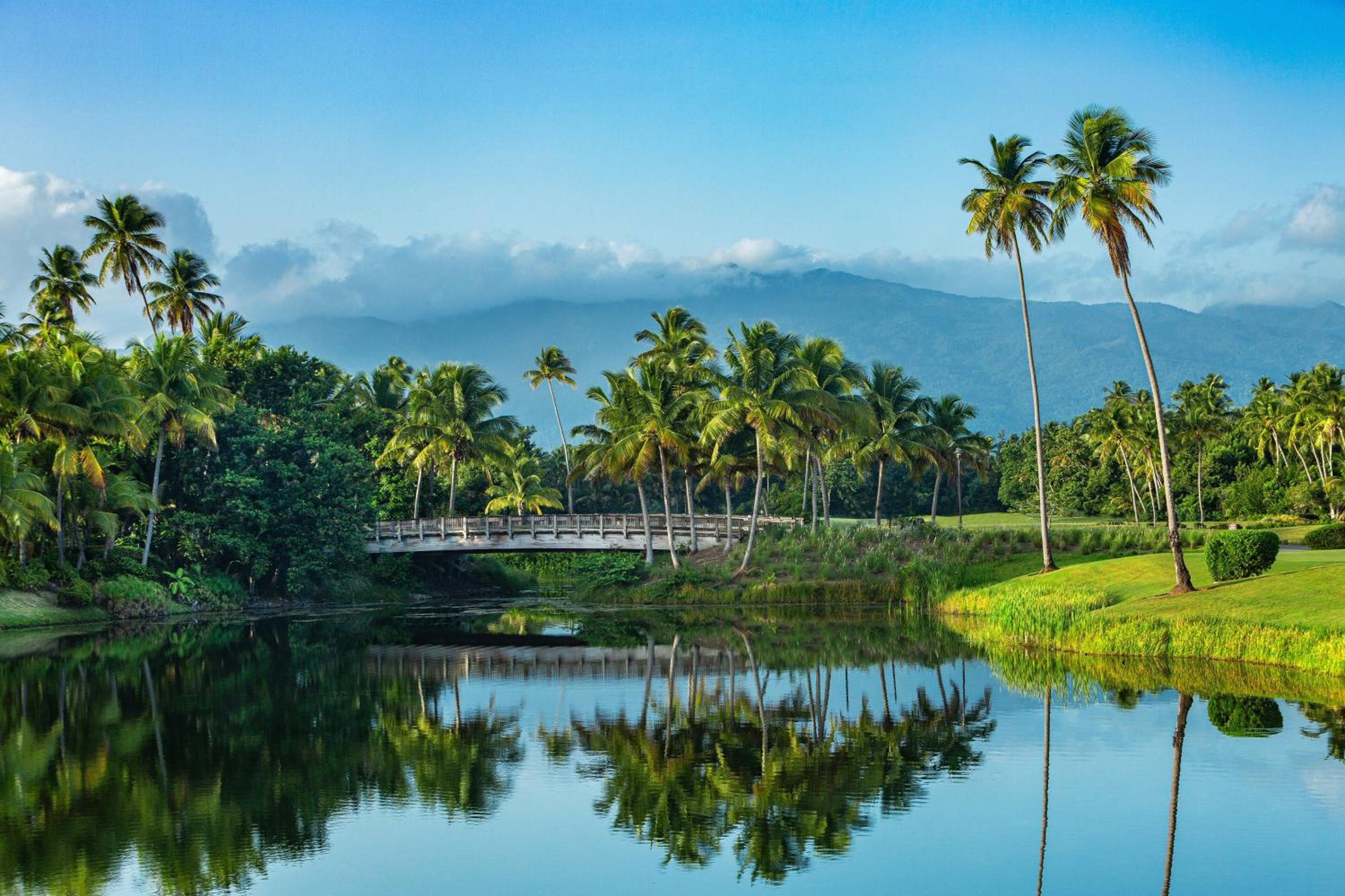 St. Regis Bahia Beach Resort, Puerto Rico - Photo 163