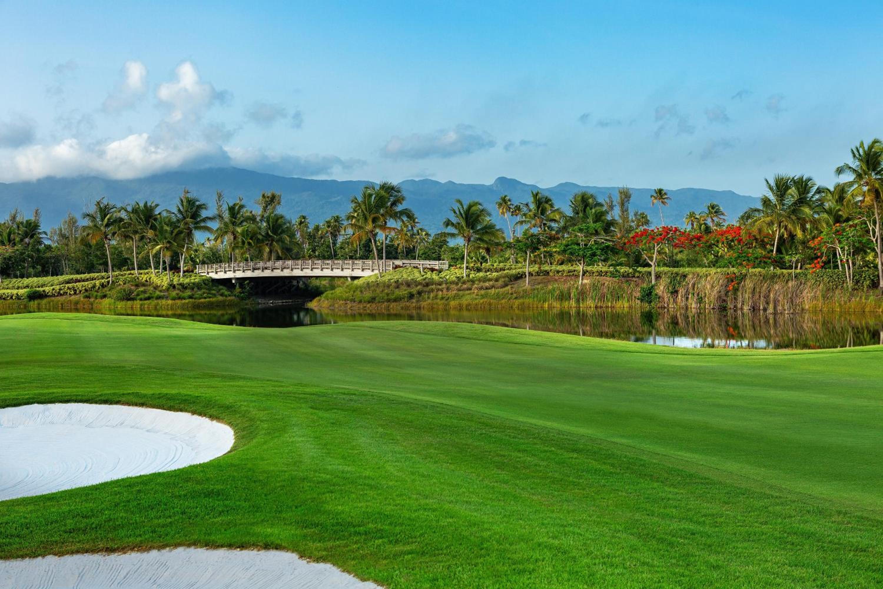 St. Regis Bahia Beach Resort, Puerto Rico - Photo 164