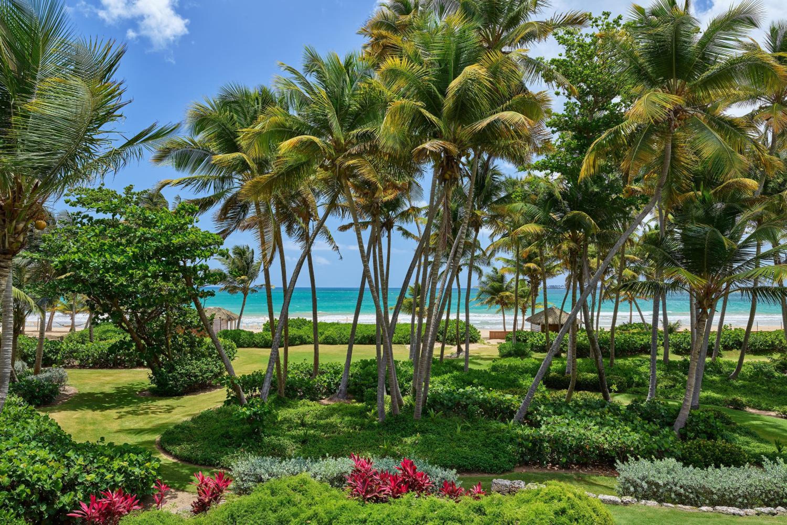 St. Regis Bahia Beach Resort, Puerto Rico - Photo 22