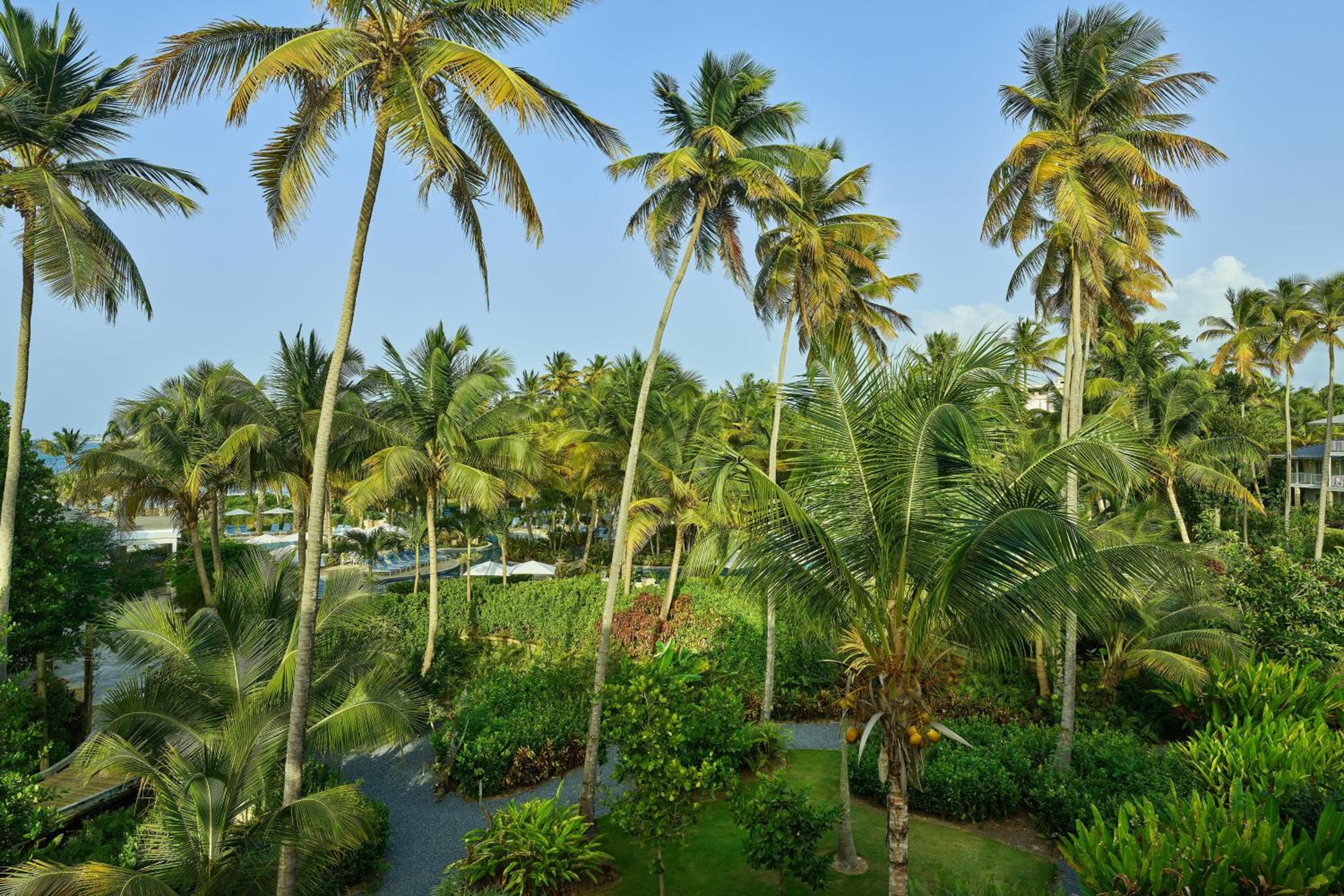St. Regis Bahia Beach Resort, Puerto Rico - Photo 23