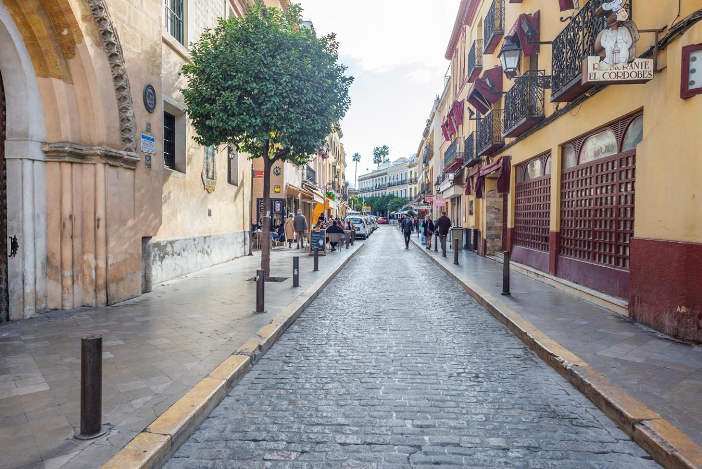 Alohamundi Santa María