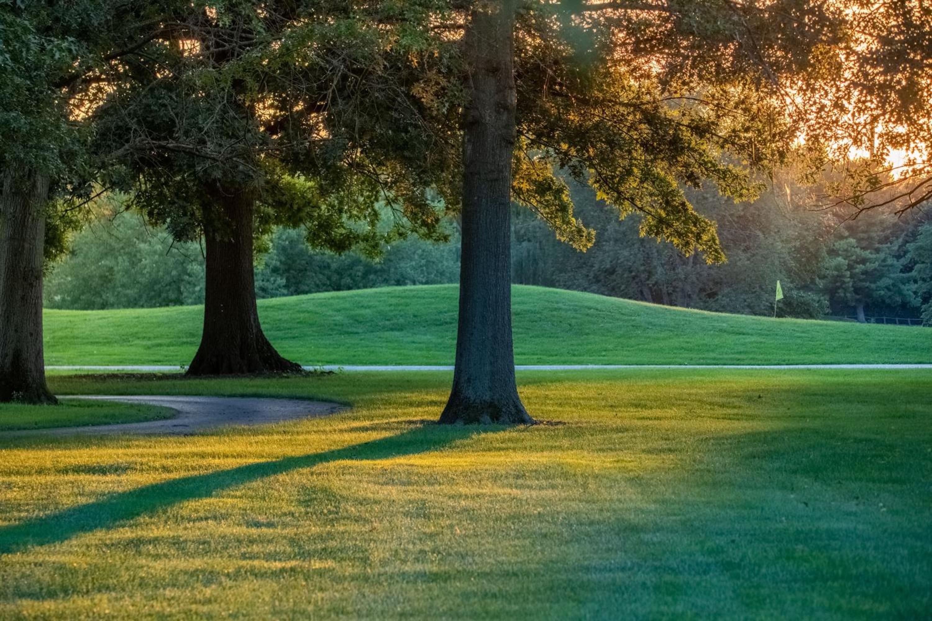 Lexington Vacations - Marriott Lexington Griffin Gate Golf Resort Spa - Property Image 91