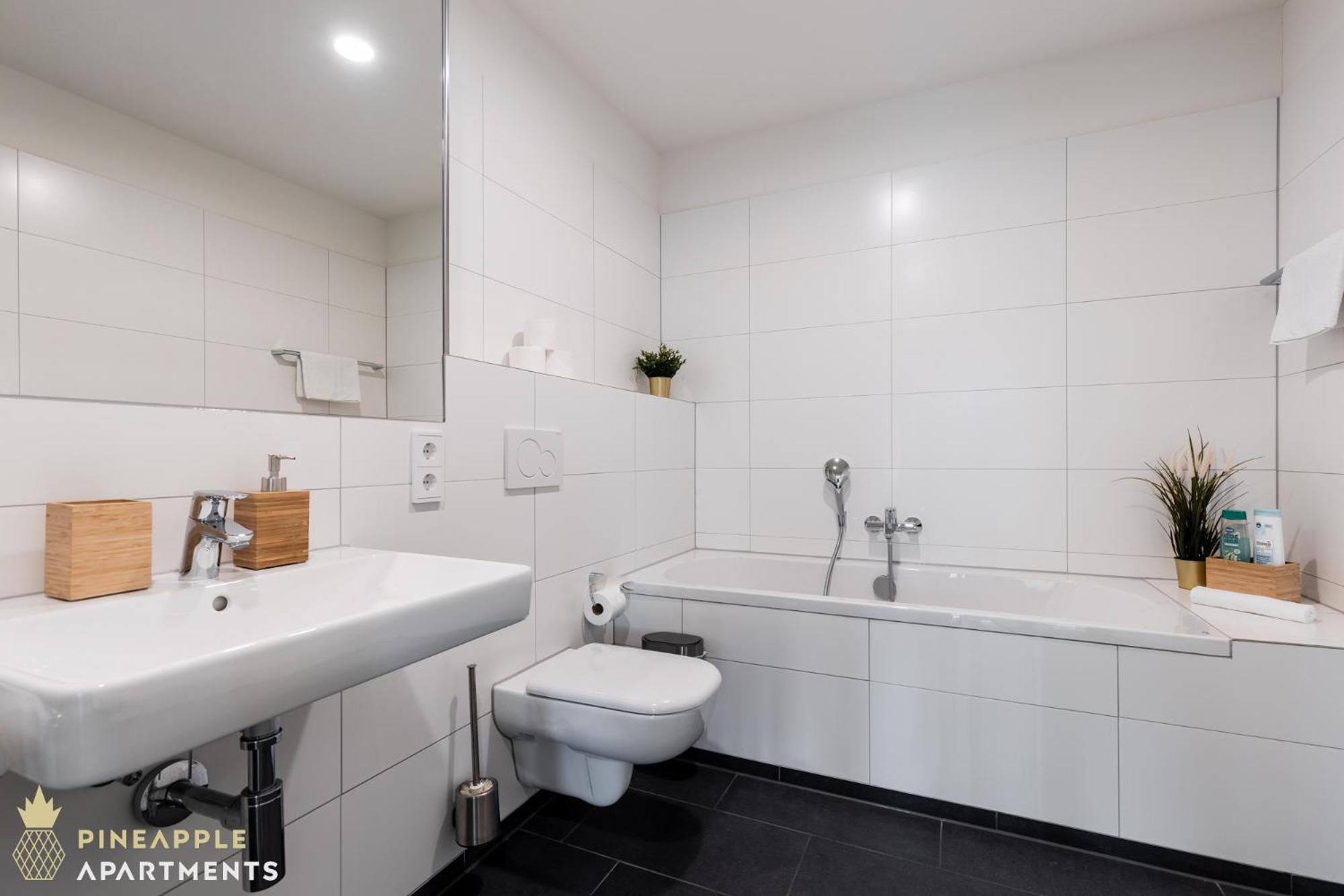 Dresden Vacations - Pineapple Apartments Dresden Altstadt III - 91 qm - 1x free parking - Property Image 14