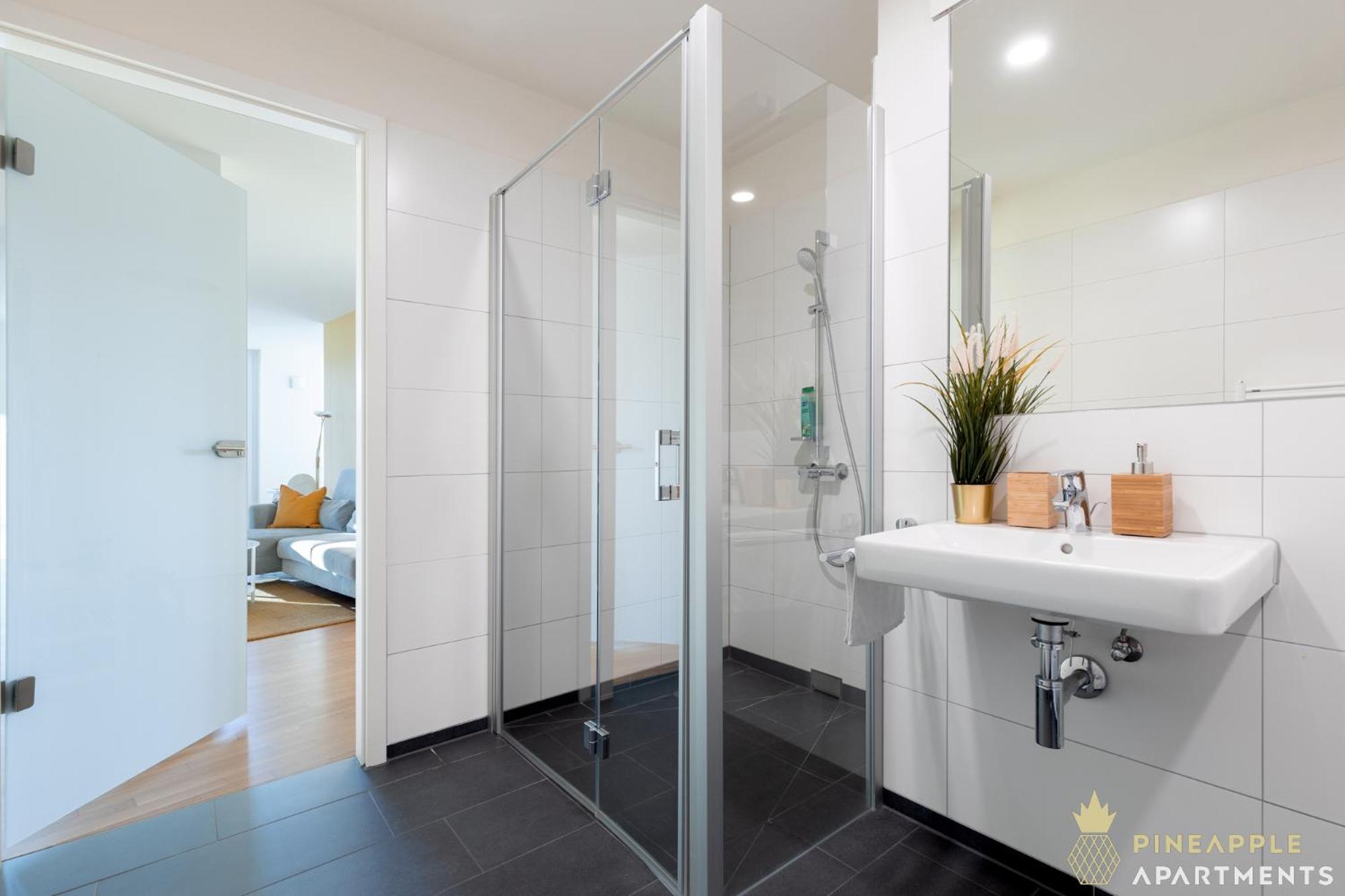 Dresden Vacations - Pineapple Apartments Dresden Altstadt III - 91 qm - 1x free parking - Property Image 13